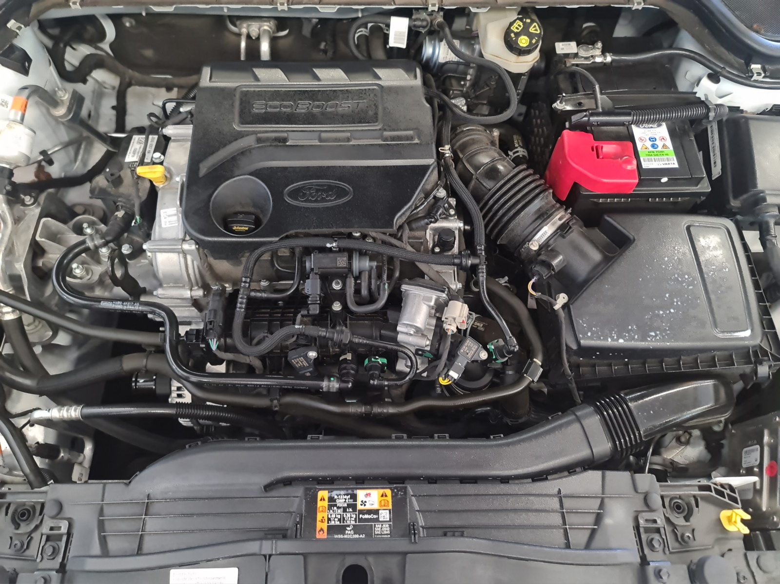 FORD Focus 1.0 SCTi Vignale Automatic-image-15