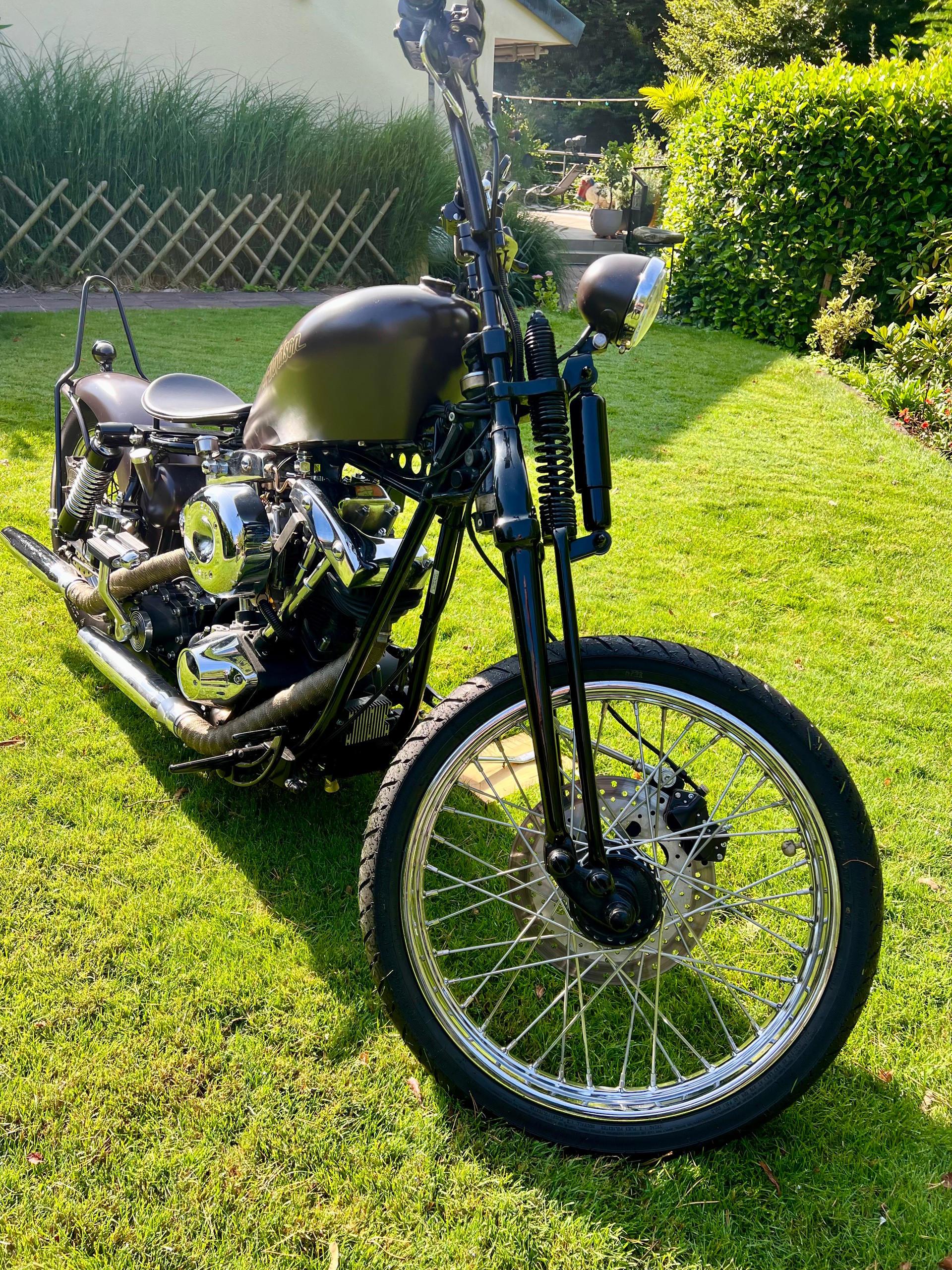 HARLEY-DAVIDSON Schovelhead-image-3