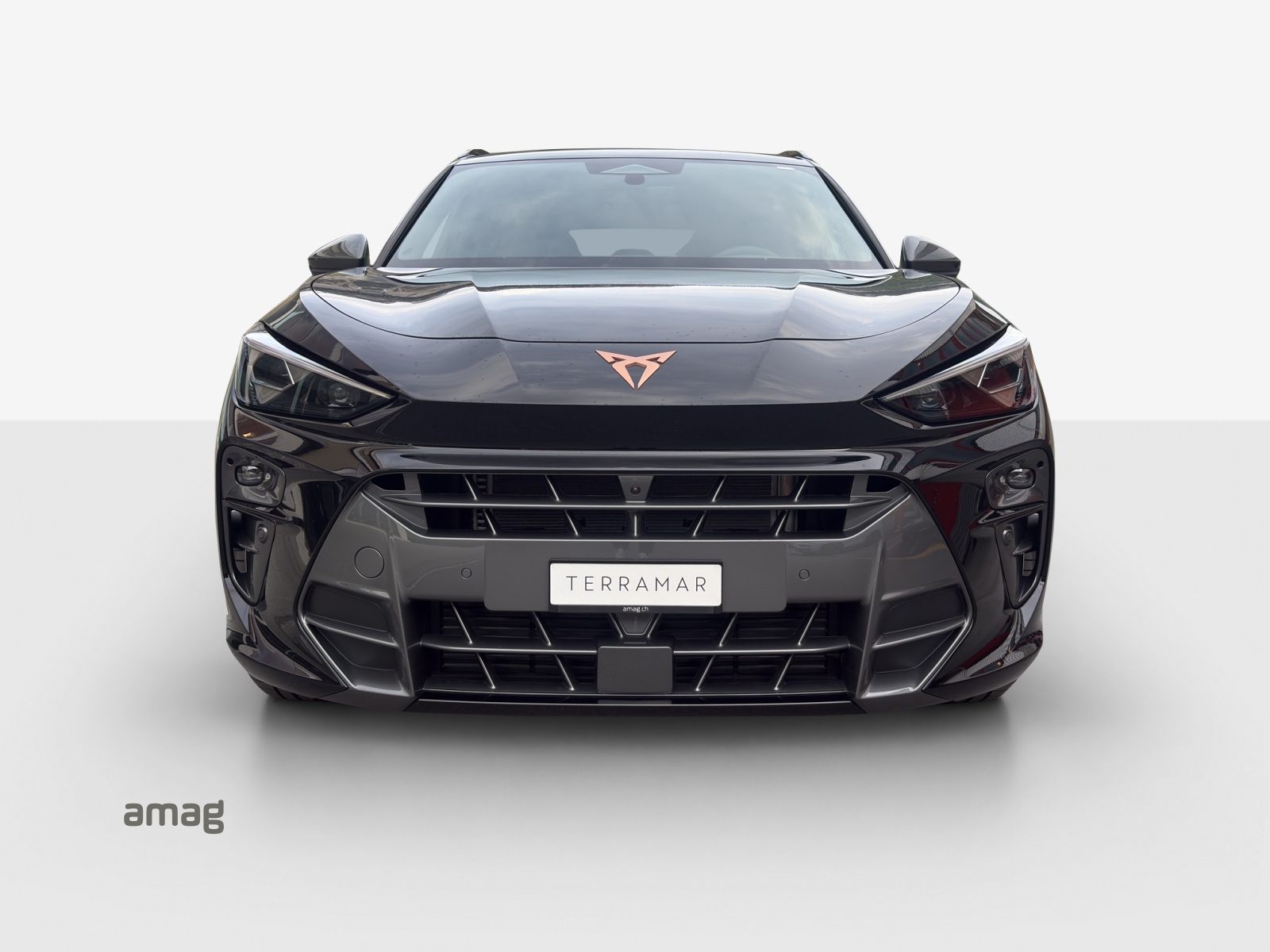 CUPRA Terramar 2.0 TSI Prime Edition DSG 4Drive-image-6