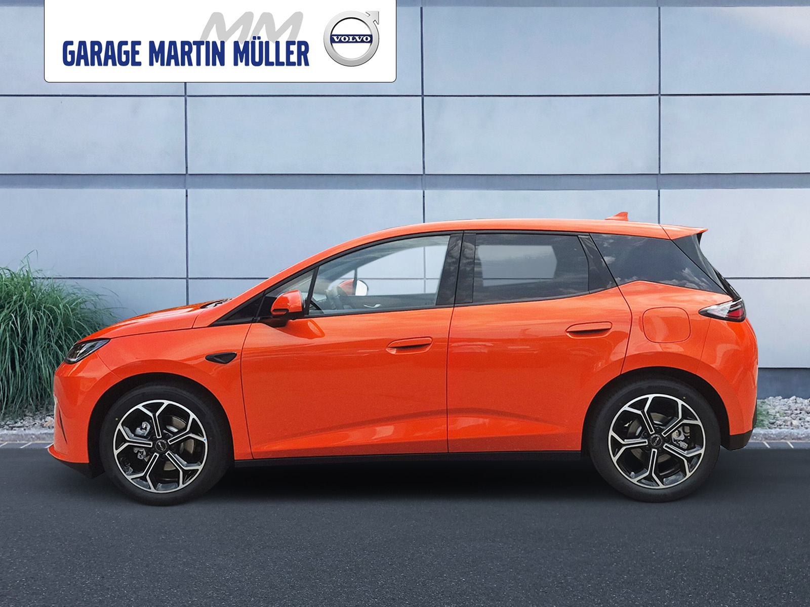 BYD Dolphin G DM-i Comfort-showroom-element-1
