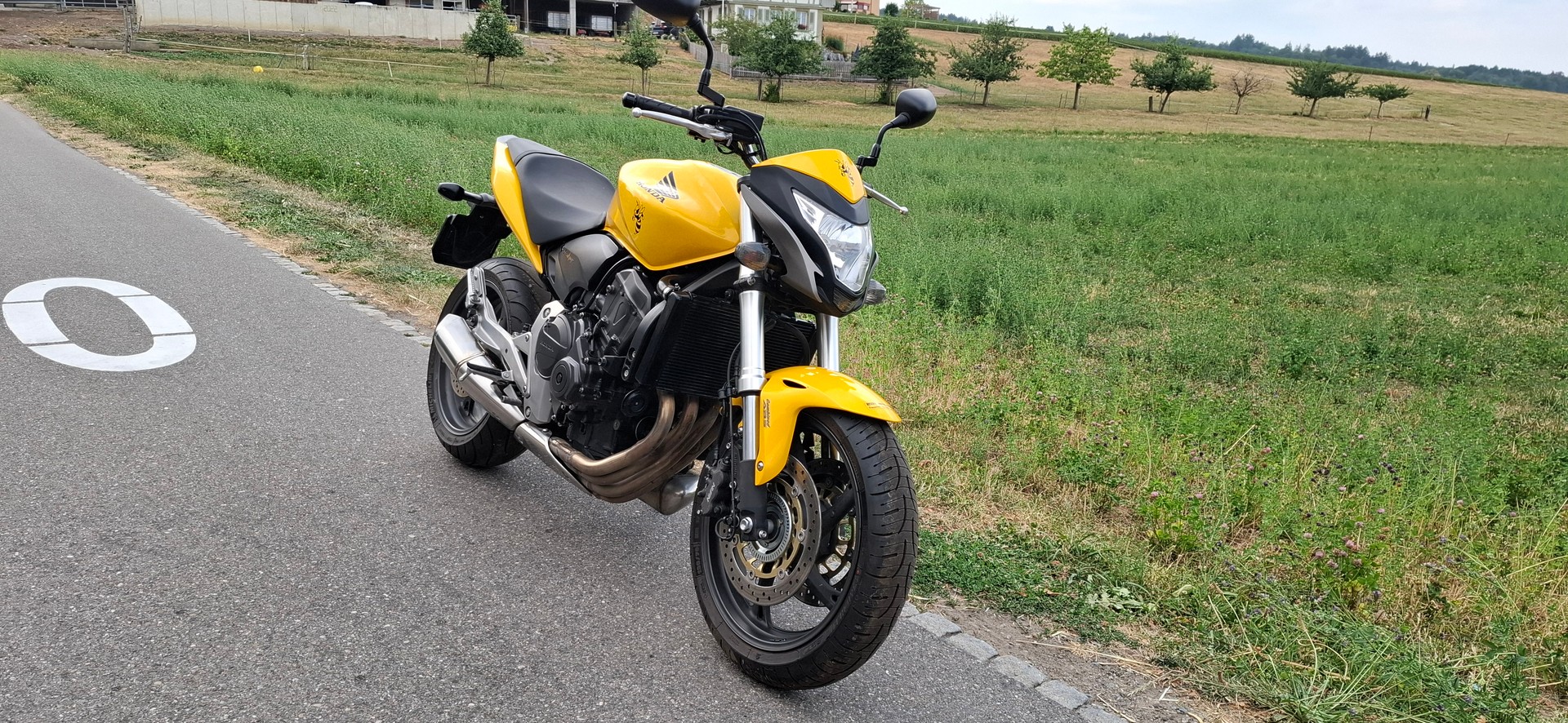 HONDA CB 600 F ABS Hornet-image-0