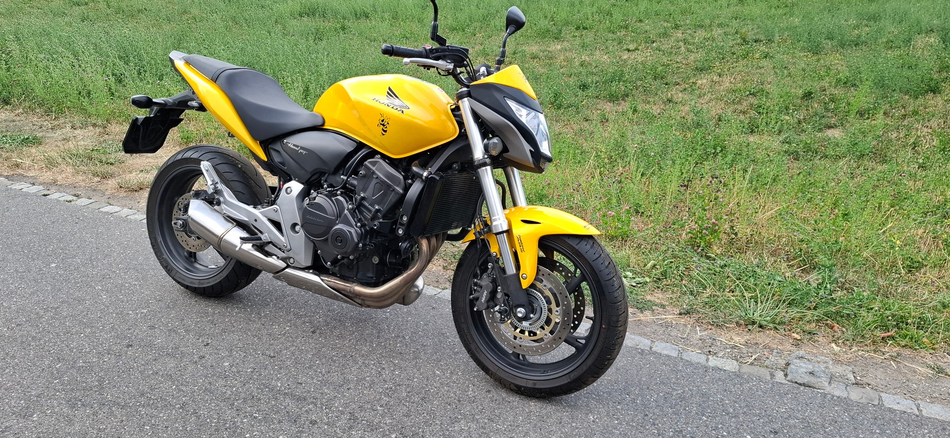 HONDA CB 600 F ABS Hornet-image-1