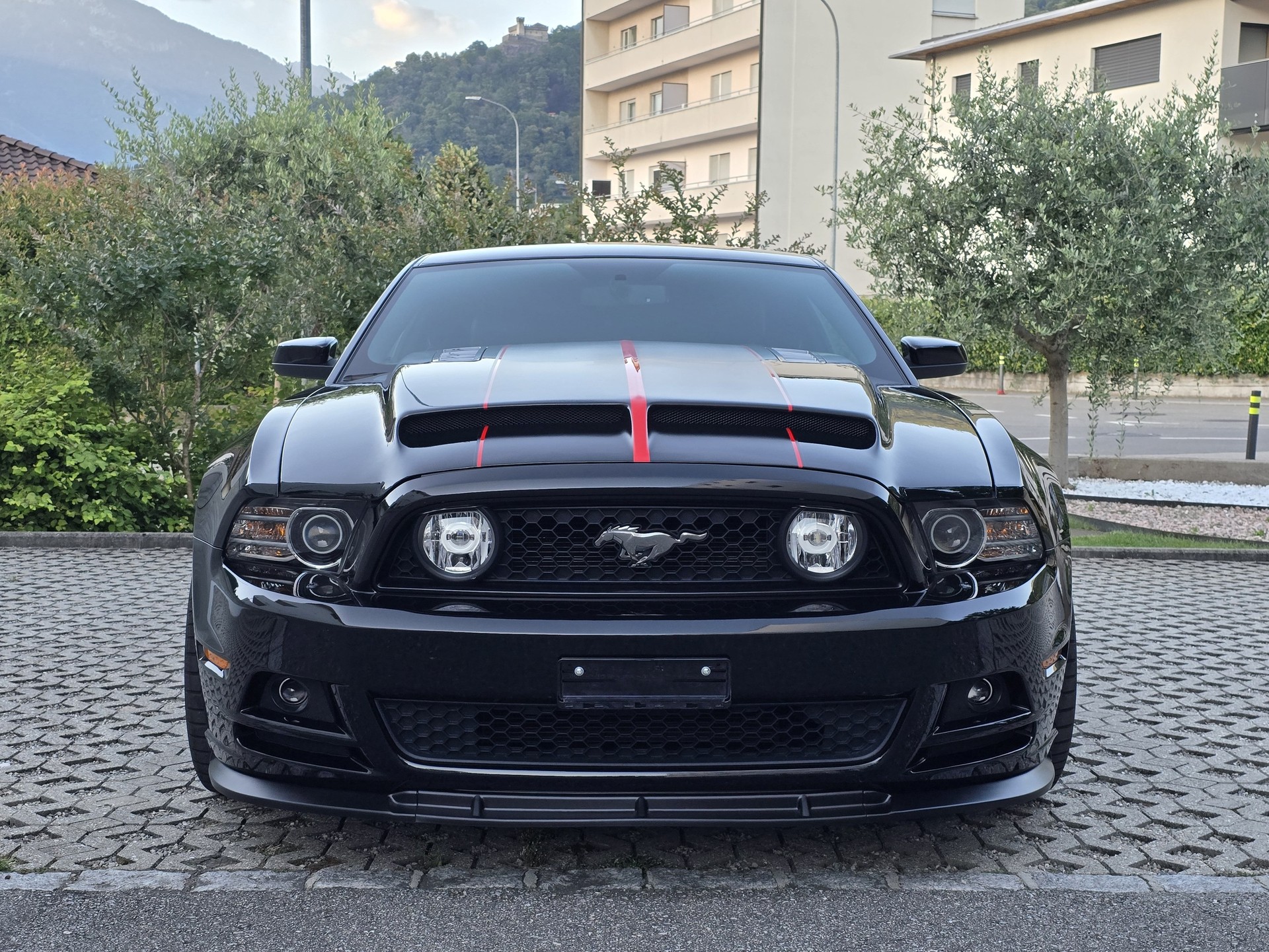 FORD MUSTANG GT 5.0-showroom-element-2