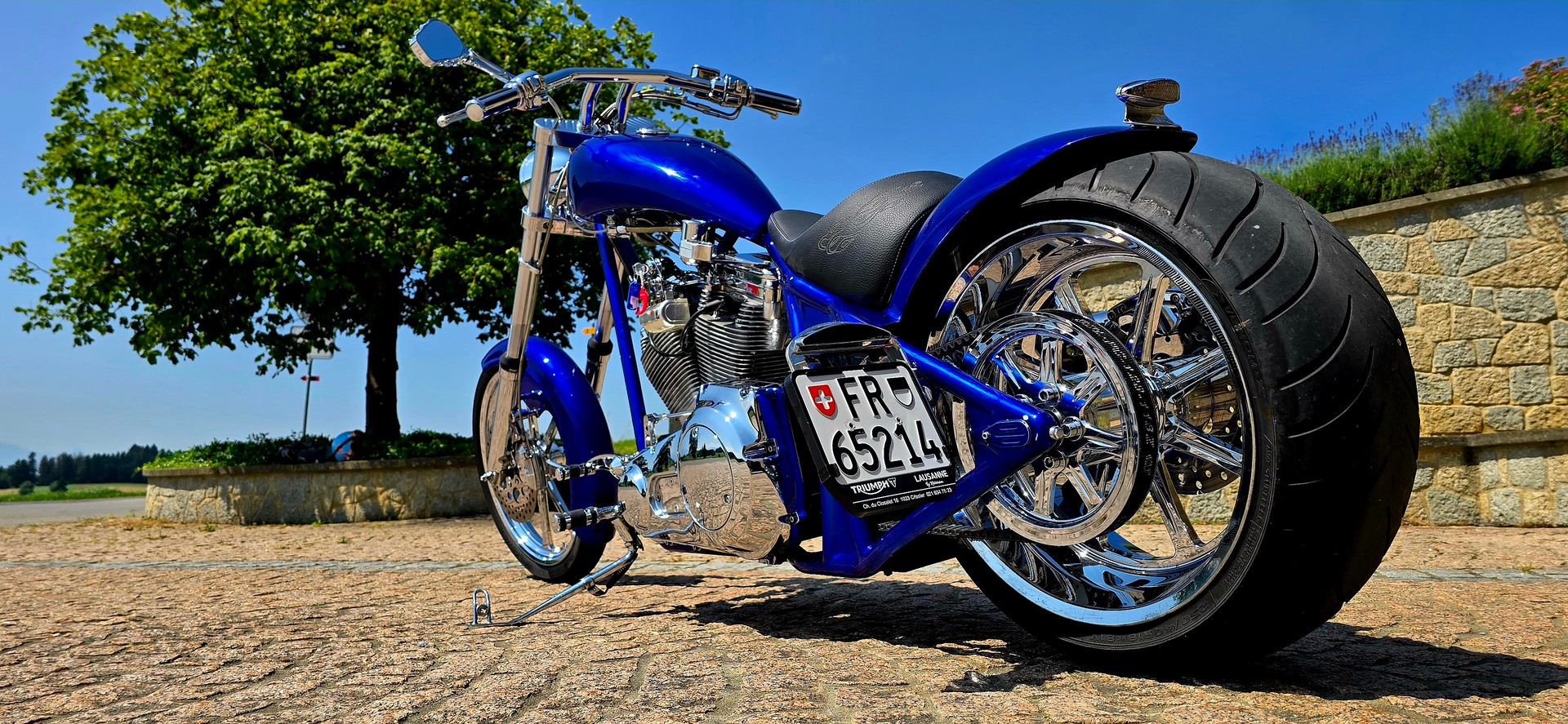 HARLEY-DAVIDSON 103 Kodlin E-Line 1.6 Litres-image-3