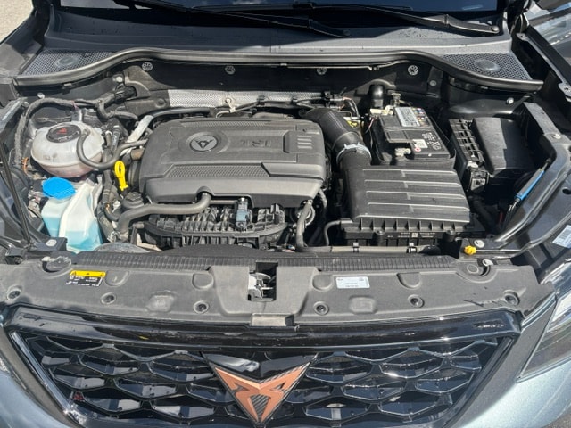CUPRA Ateca 2.0TSI 4Drive DSG-image-11