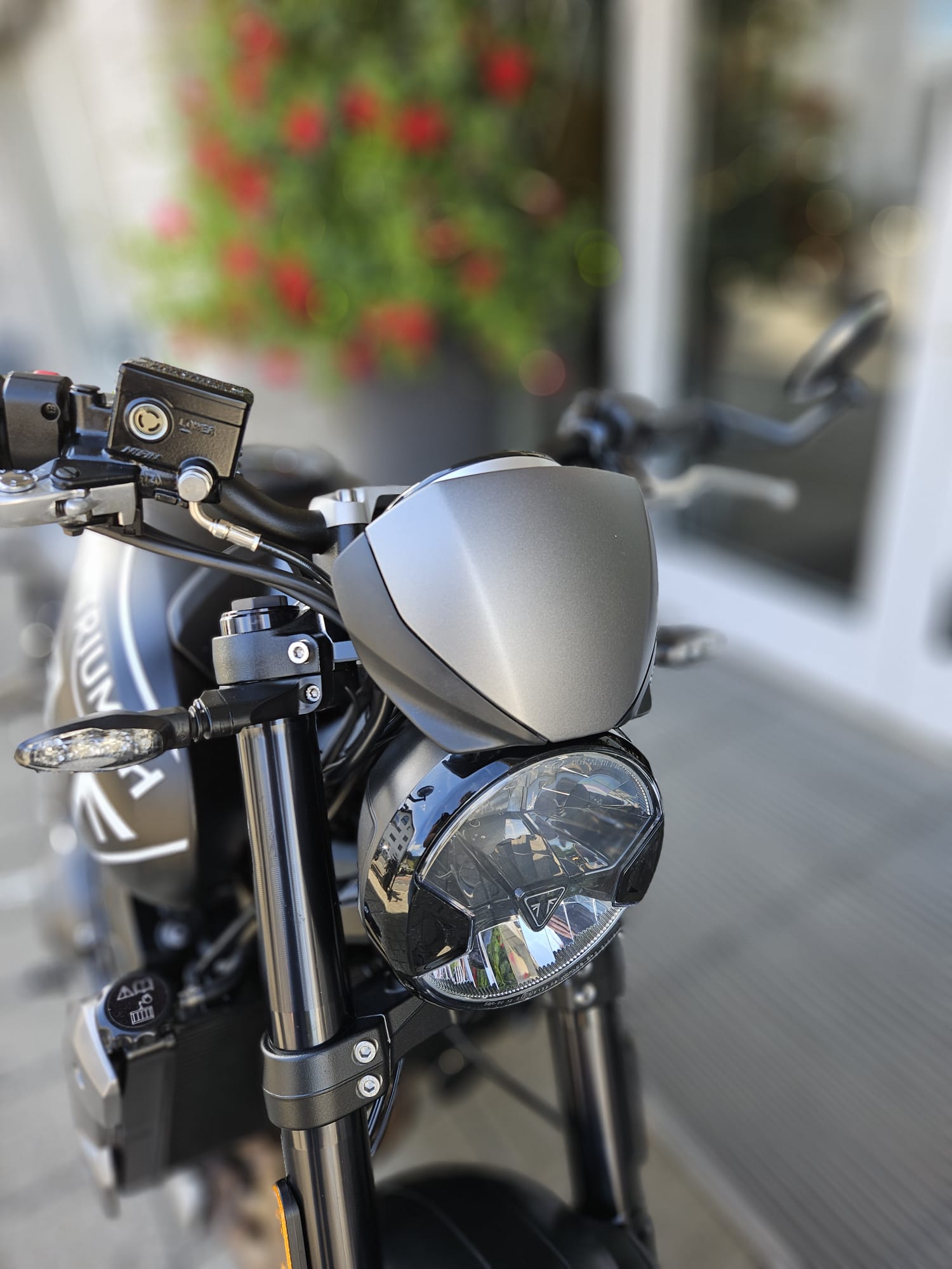 TRIUMPH Trident 660-image-7