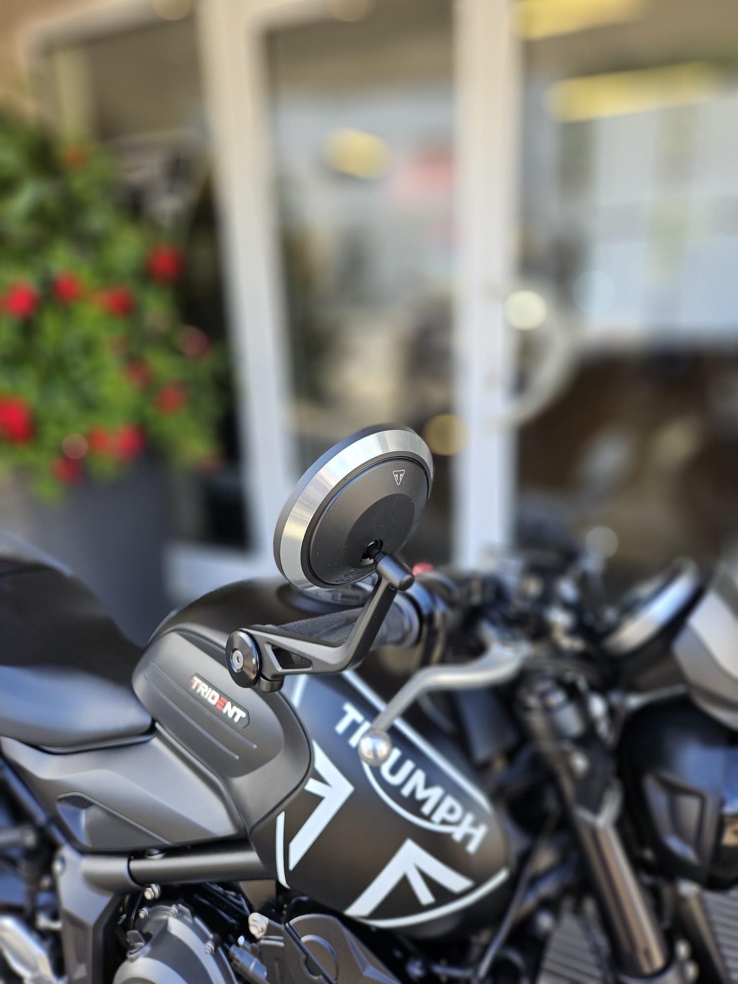 TRIUMPH Trident 660-image-6
