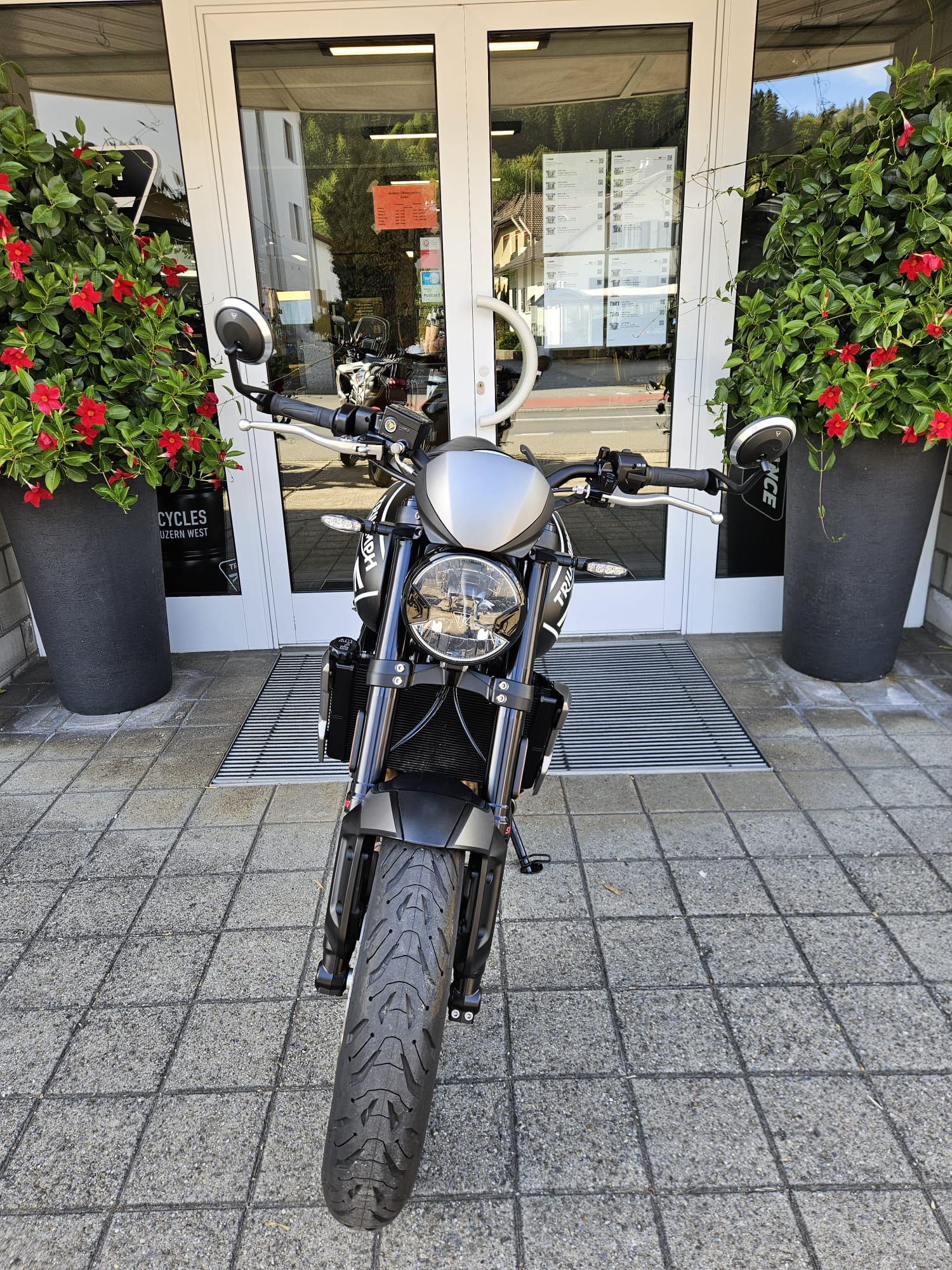 TRIUMPH Trident 660-image-3