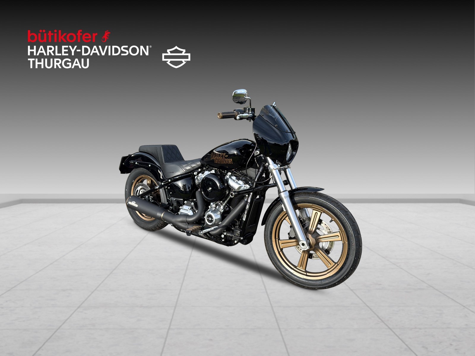 HARLEY-DAVIDSON FXST Softail Standard 107-image-0