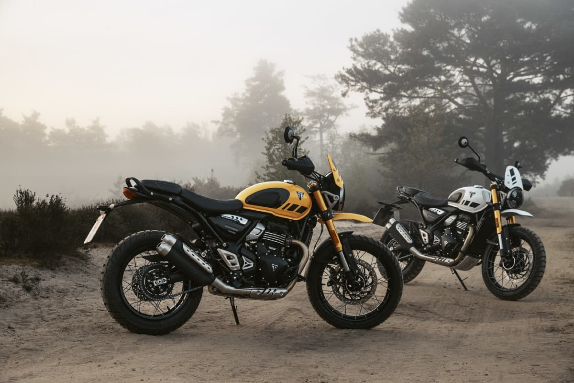 TRIUMPH Scrambler 400 XC-image-3
