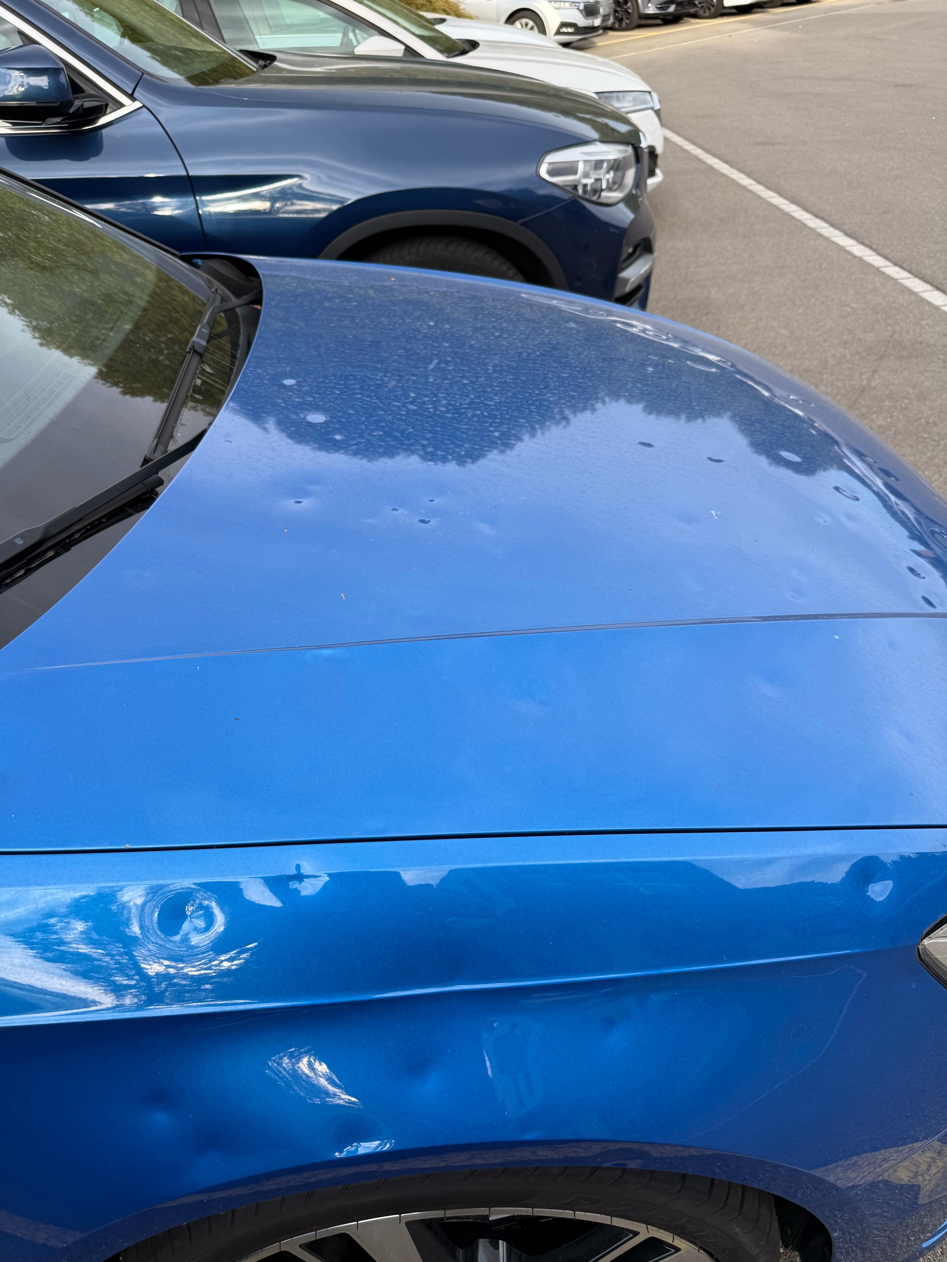 AUDI RS3 SB 2.5 TSI quattro-image-24