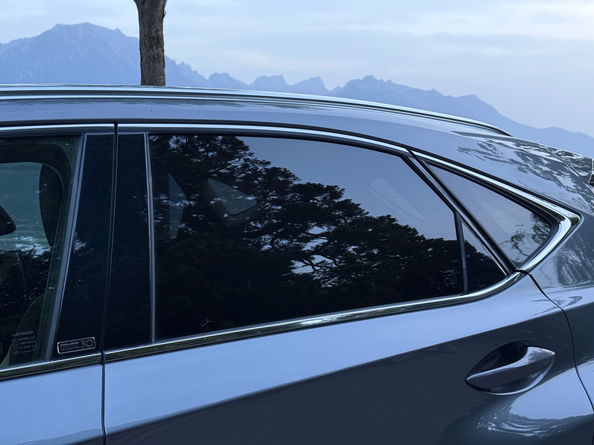 LEXUS NX 300h Celebrating 30 E-Four Automatic-image-20