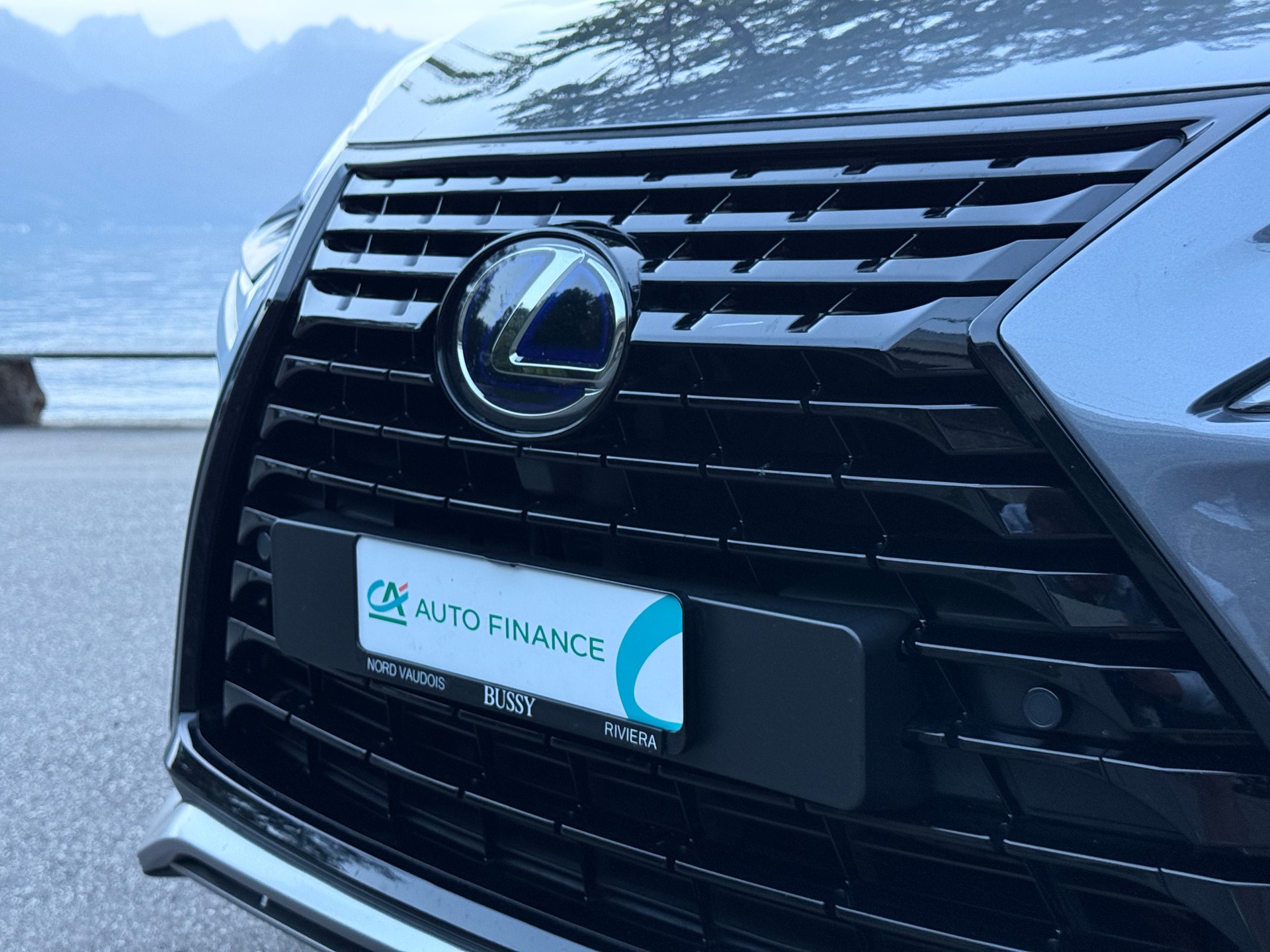 LEXUS NX 300h Celebrating 30 E-Four Automatic-image-19
