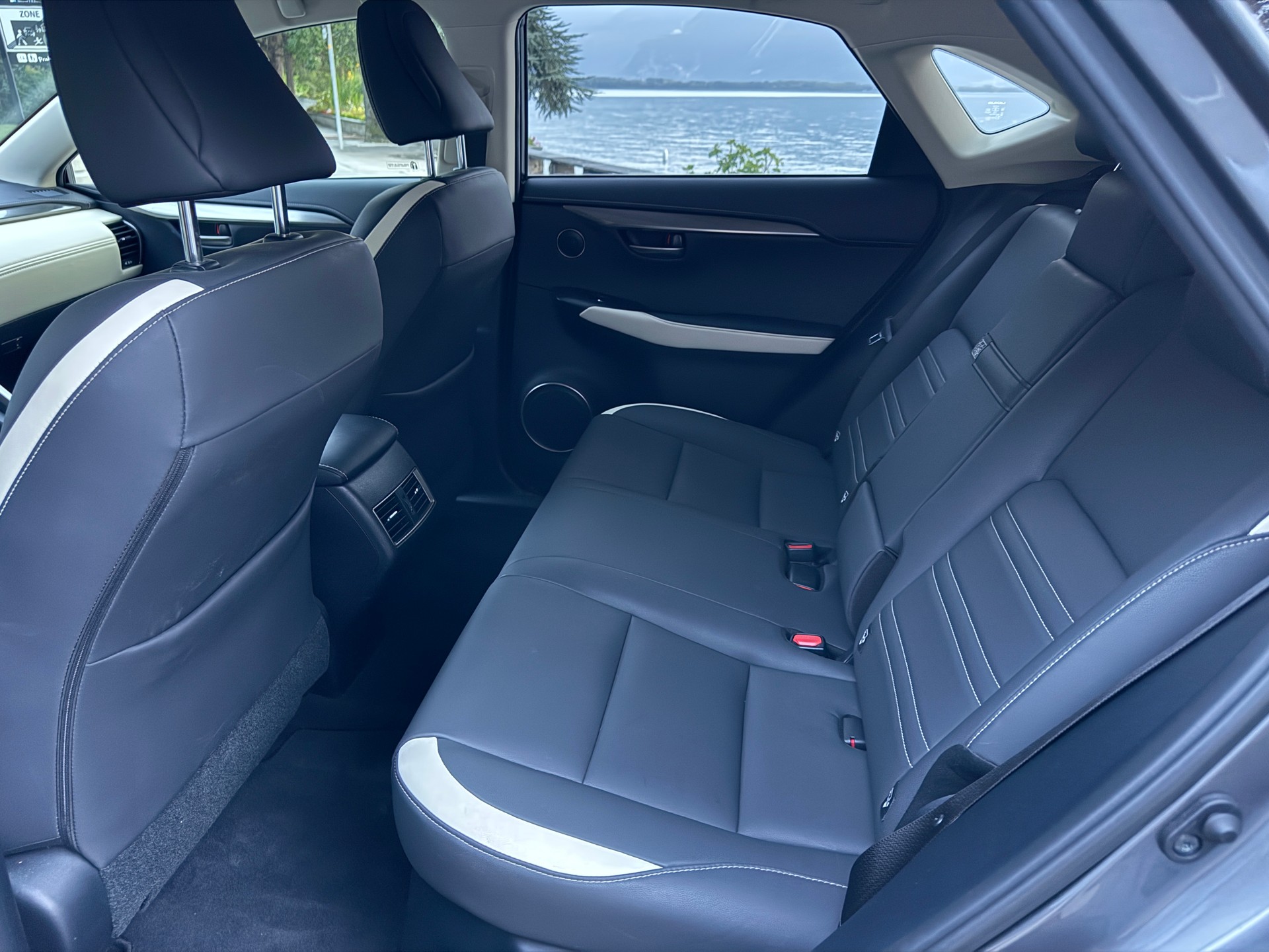 LEXUS NX 300h Celebrating 30 E-Four Automatic-image-15