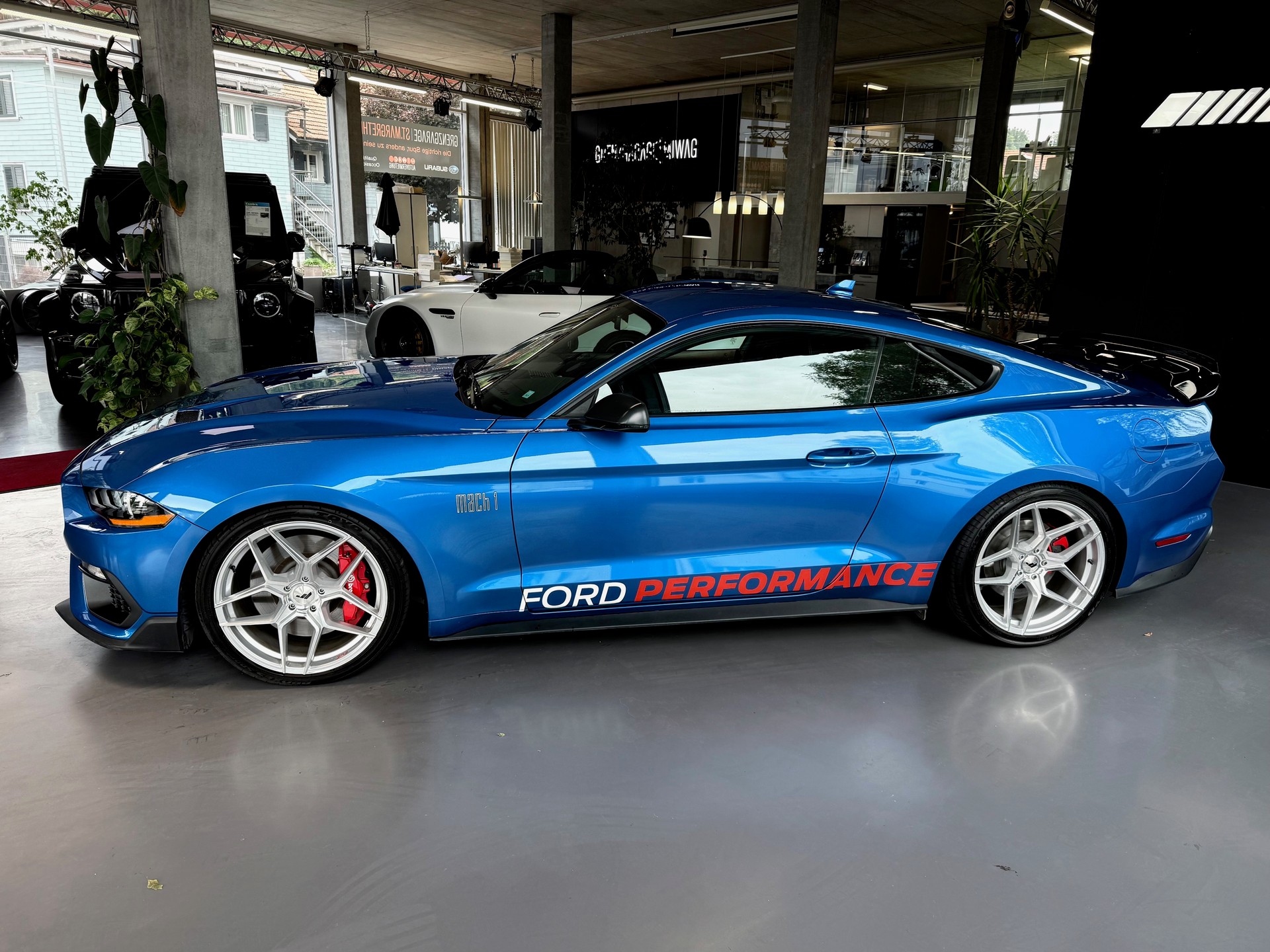 FORD Mustang Fastback 5.0 V8 Mach 1-showroom-element-3