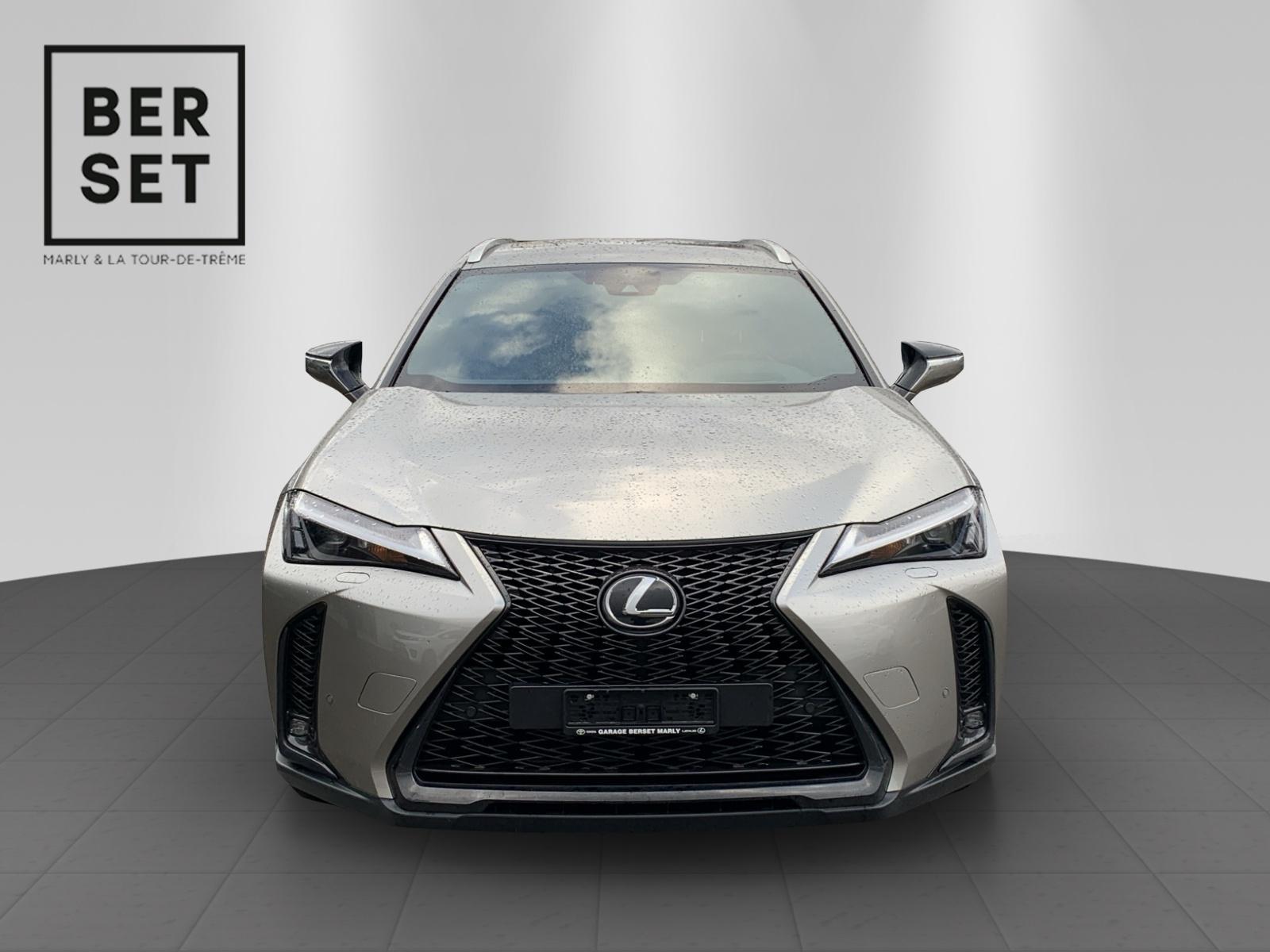 LEXUS UX 250h F-Line-showroom-element-2