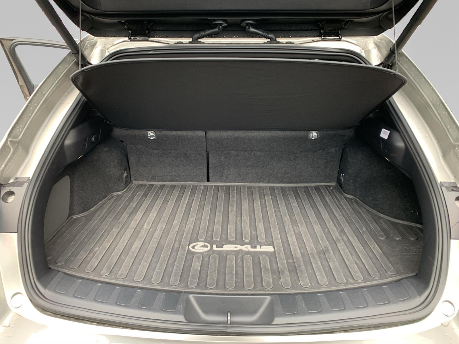 LEXUS UX 250h F-Line-image-12