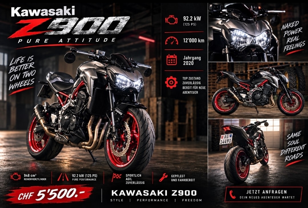 KAWASAKI Z 900 Performance-image-0