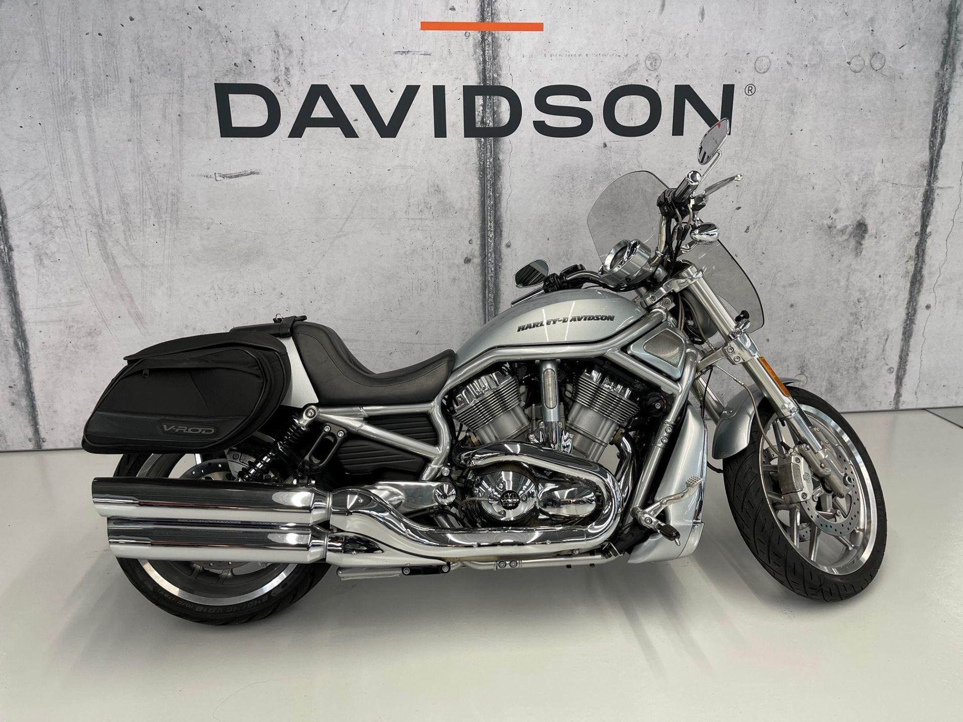 HARLEY-DAVIDSON VRSCDX 1250 V-Rod Night Rod Special Anniversary-image-6