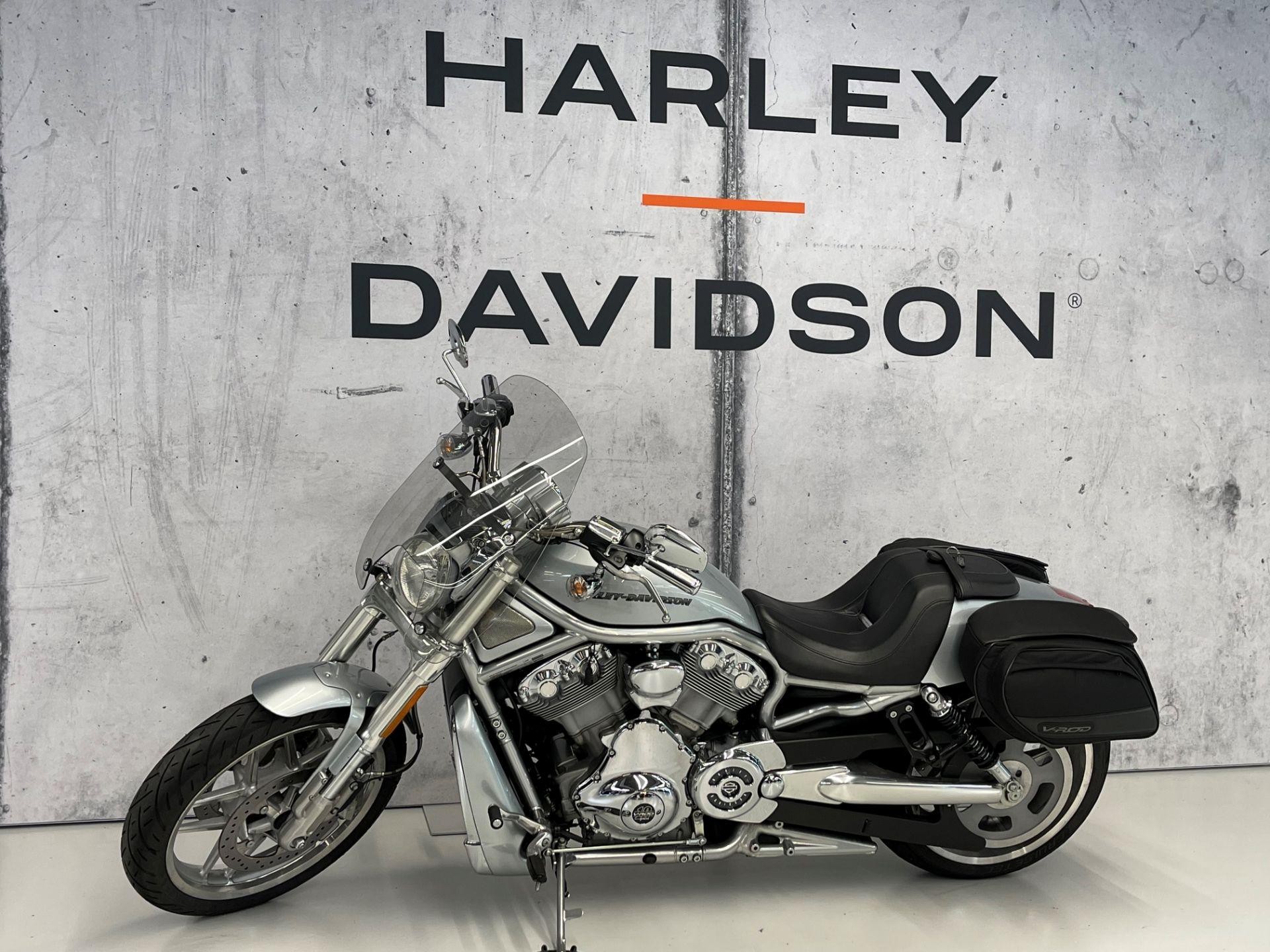 HARLEY-DAVIDSON VRSCDX 1250 V-Rod Night Rod Special Anniversary-image-2