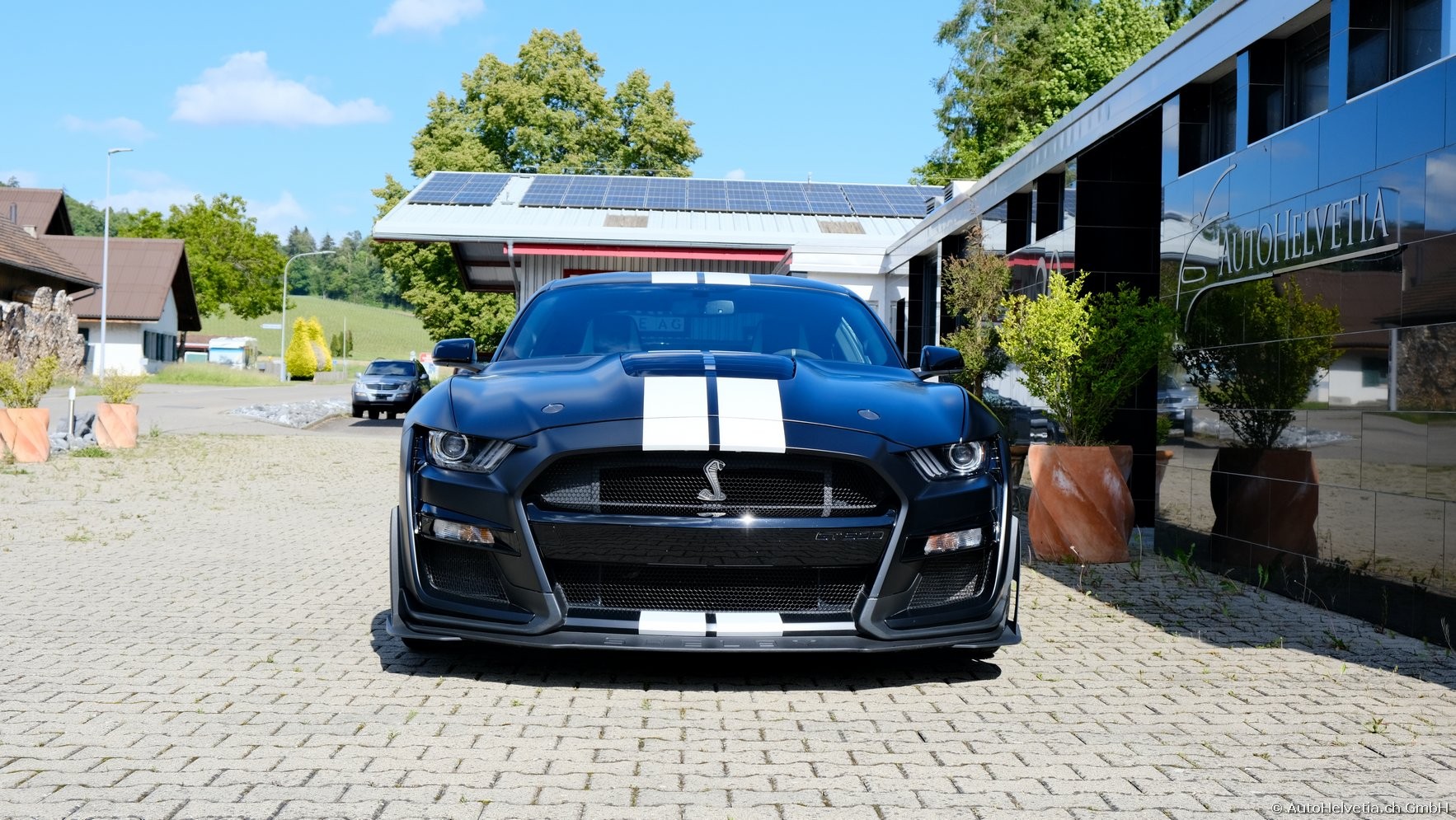 FORD Mustang Shelby GT 500 - Carbon Fiber Track Pack Predator GT500-showroom-element-1