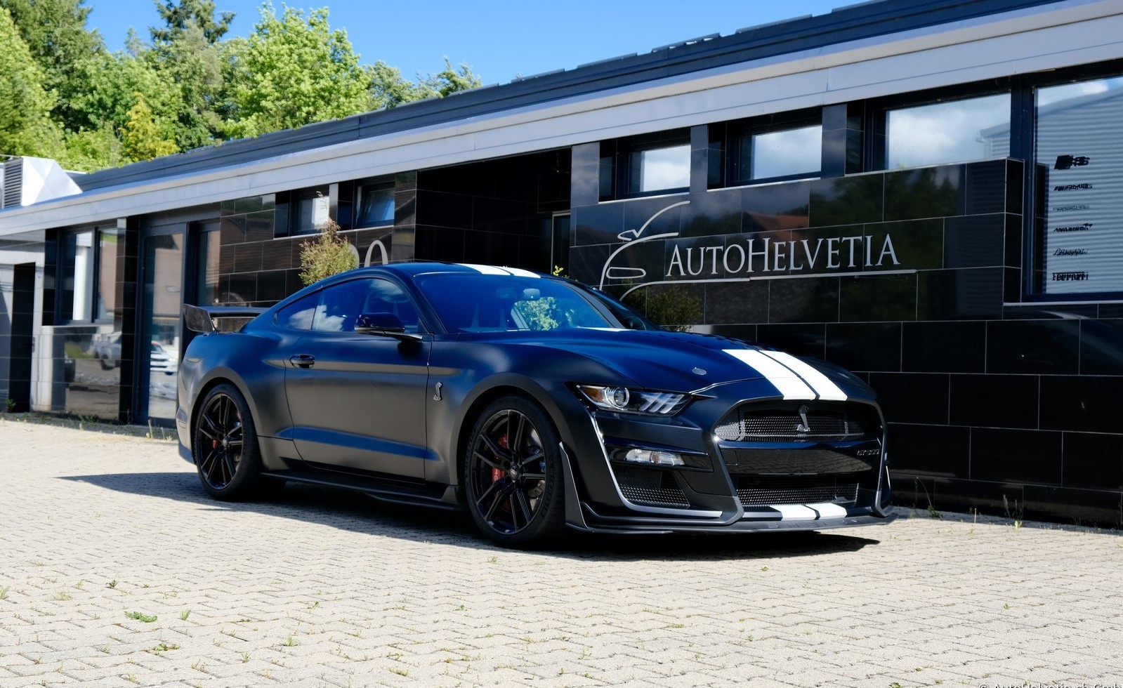 FORD Mustang Shelby GT 500 - Carbon Fiber Track Pack Predator GT500
