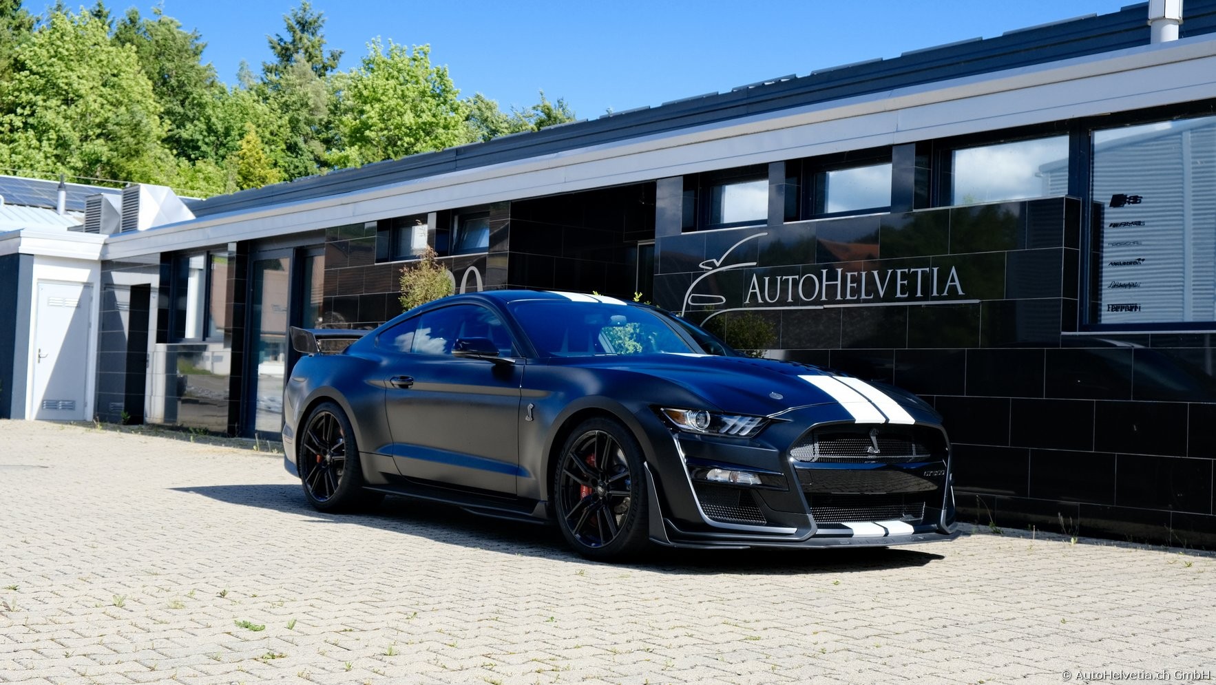 FORD Mustang Shelby GT 500 - Carbon Fiber Track Pack Predator GT500-image-16
