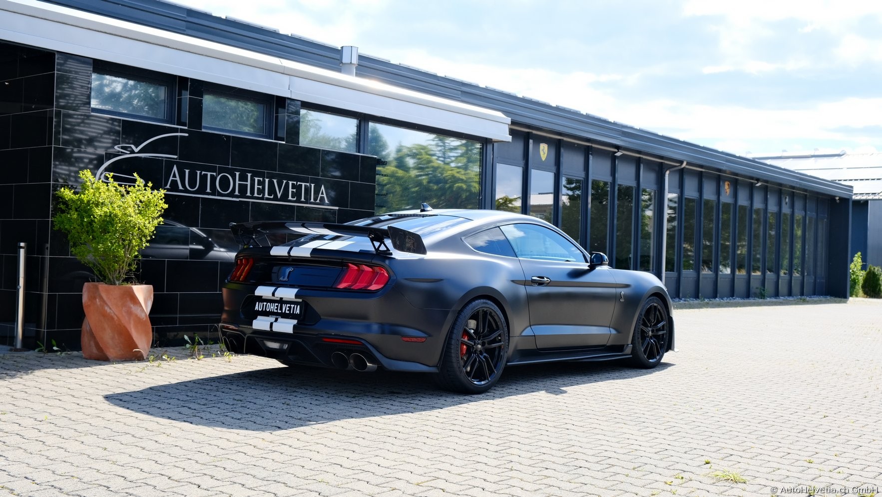 FORD Mustang Shelby GT 500 - Carbon Fiber Track Pack Predator GT500-image-4