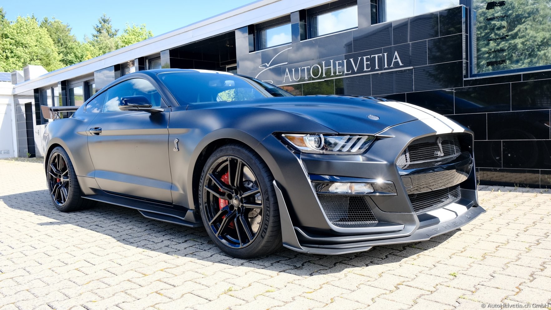 FORD Mustang Shelby GT 500 - Carbon Fiber Track Pack Predator GT500-showroom-element-2