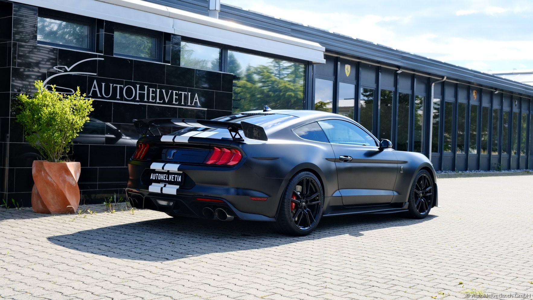 FORD Mustang Shelby GT 500 - Carbon Fiber Track Pack Predator GT500-image-5