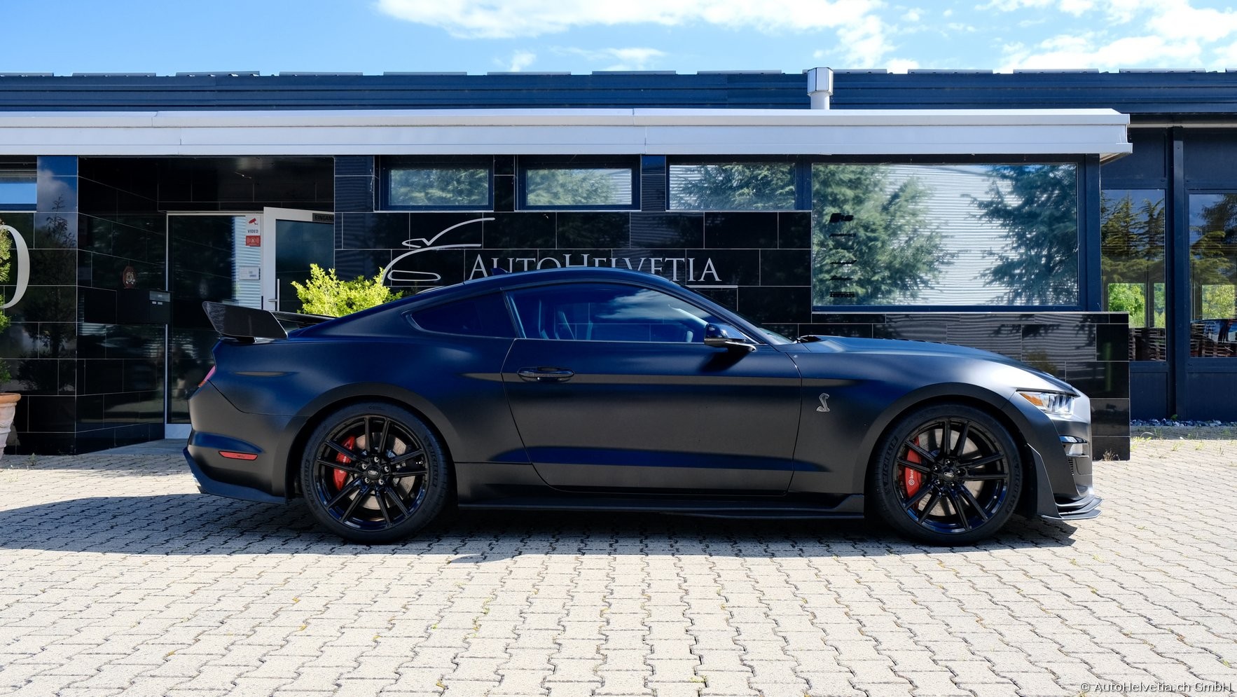 FORD Mustang Shelby GT 500 - Carbon Fiber Track Pack Predator GT500-showroom-element-3