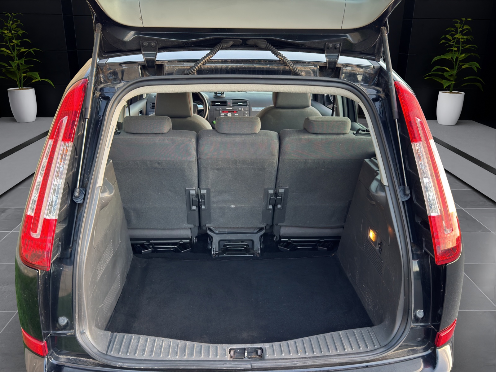 FORD C-Max 1.8 Flexifuel Carving-image-13