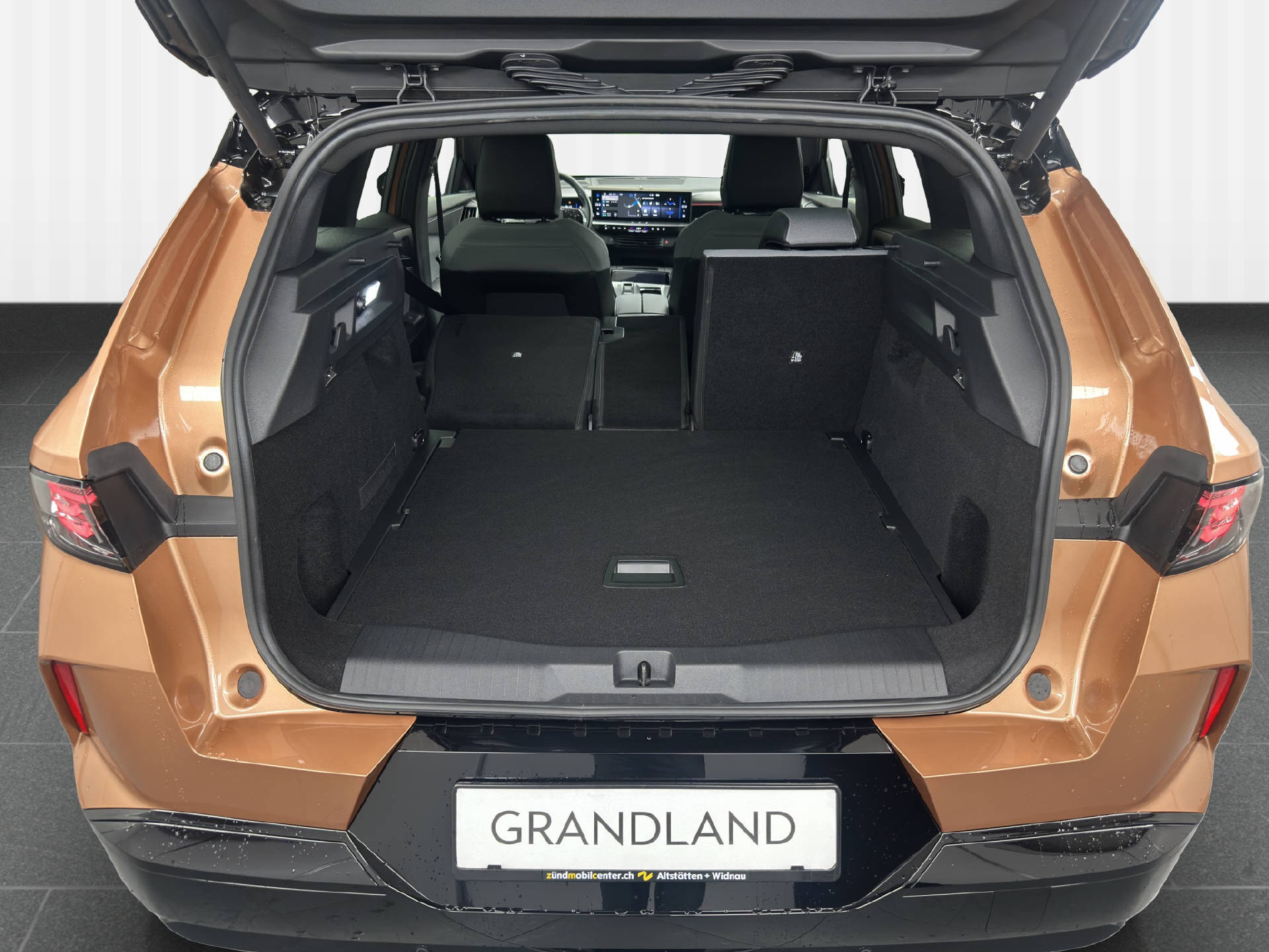 OPEL Grandland GS electric 213PS 73 kWh-image-11