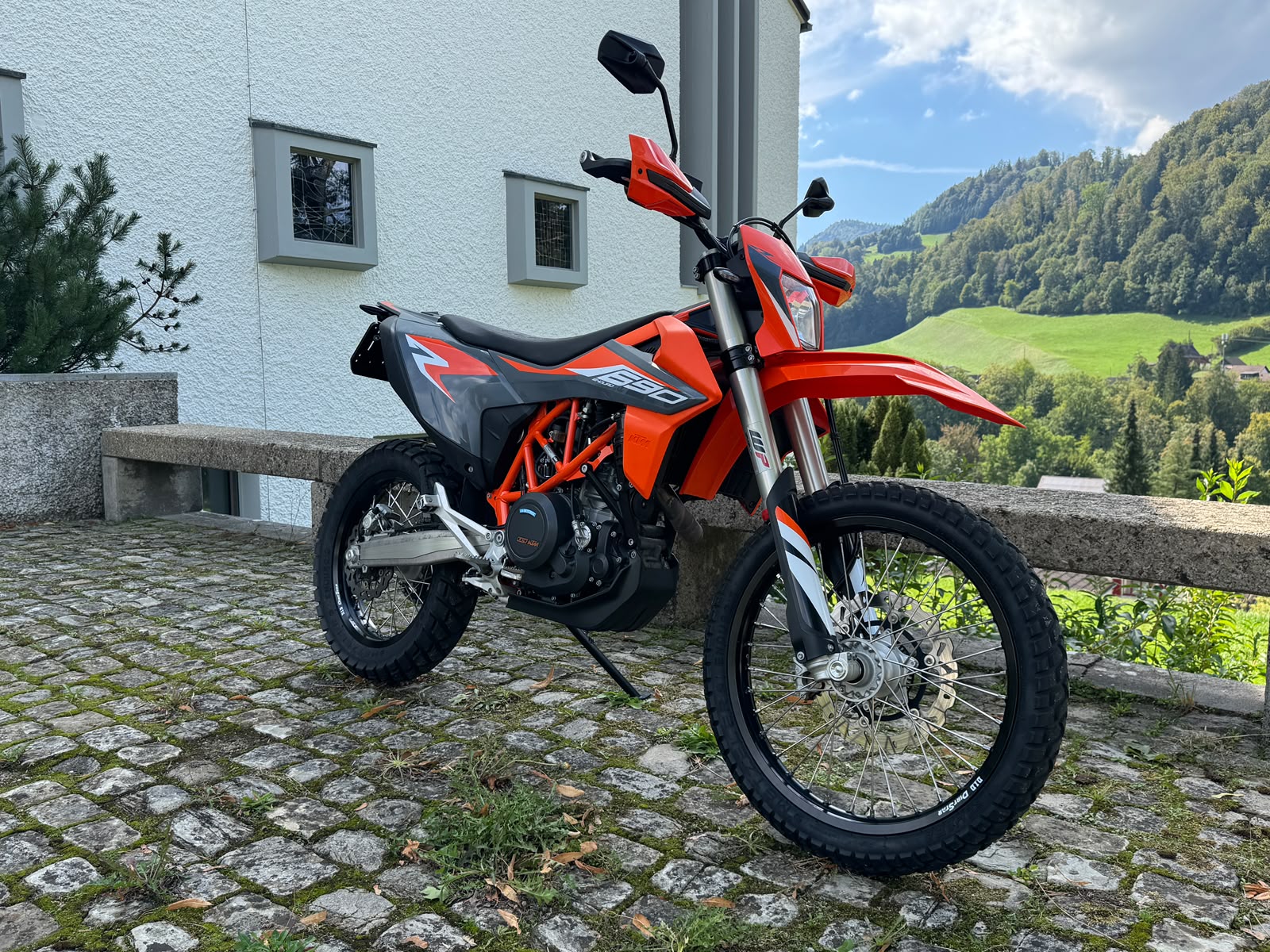KTM 690 Enduro R-image-2