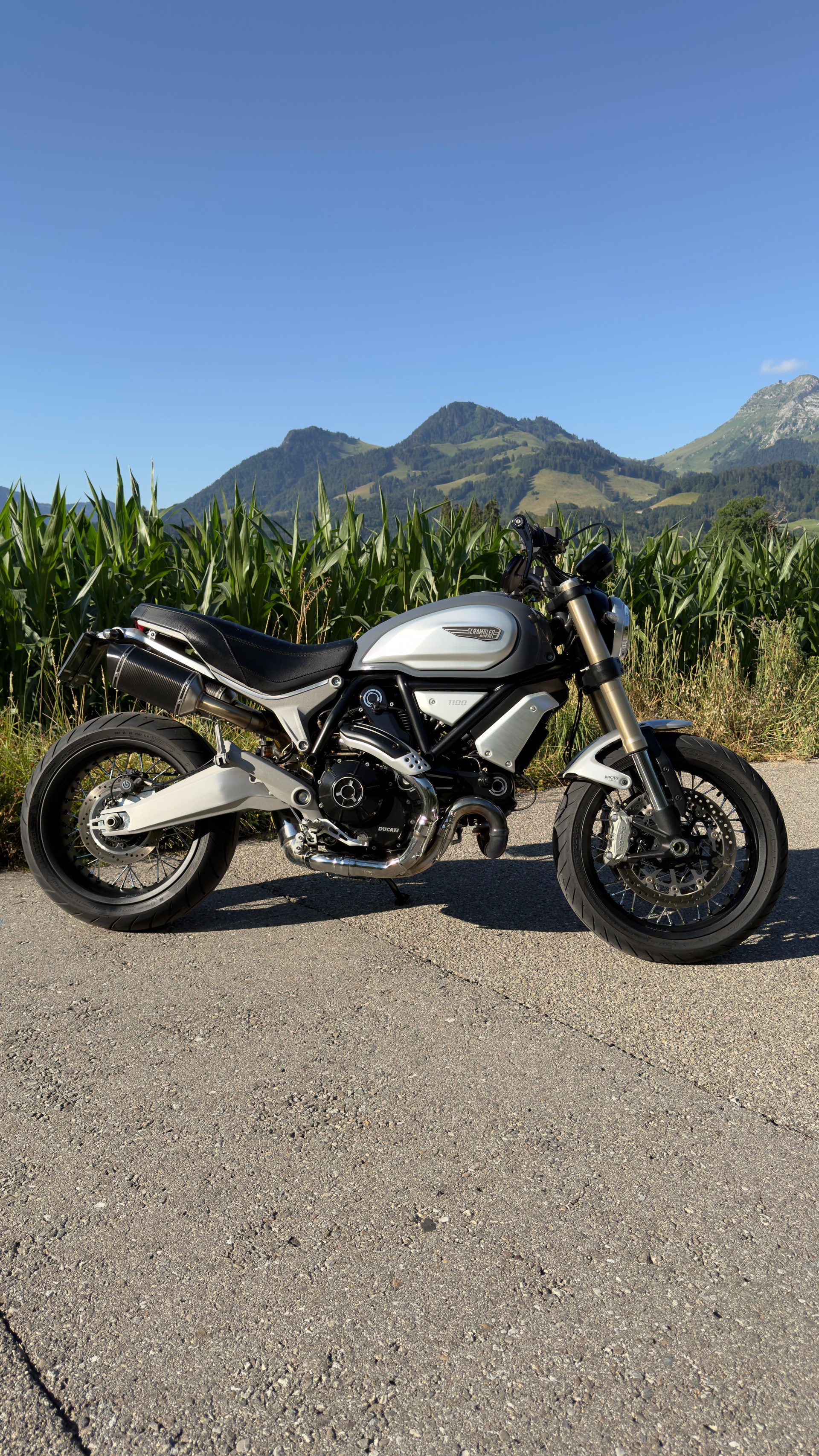 DUCATI Scrambler 1100 (35kW)-image-1