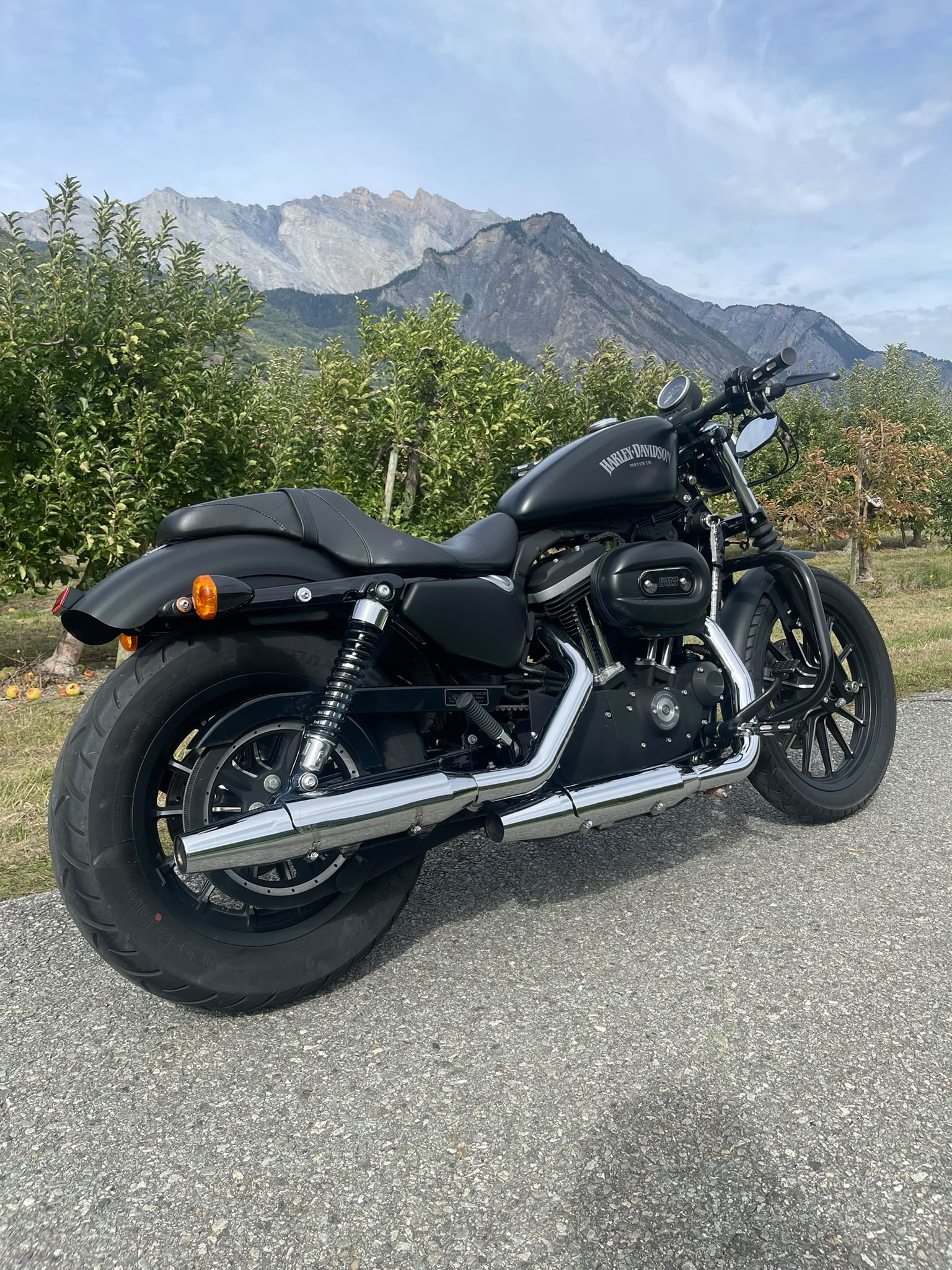 HARLEY-DAVIDSON XL 883 N Sportster Iron (25kW)-image-5