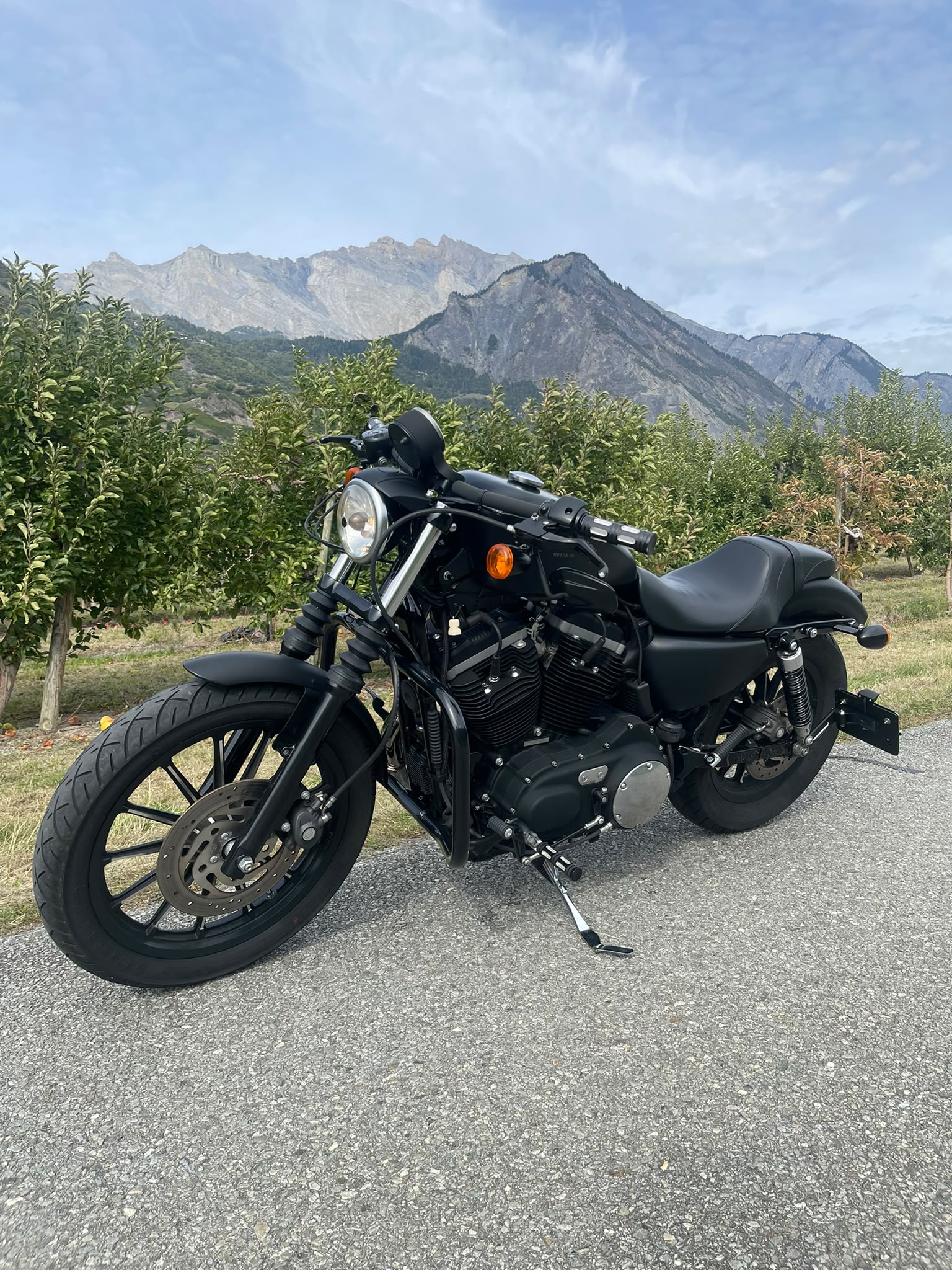 HARLEY-DAVIDSON XL 883 N Sportster Iron (25kW)-image-1