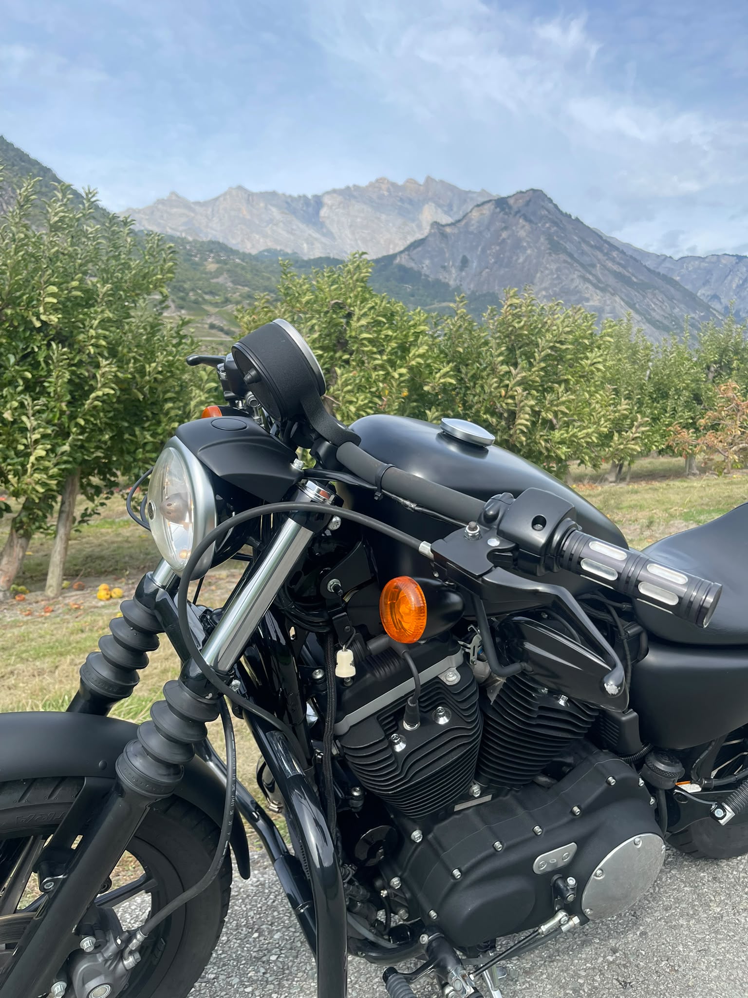 HARLEY-DAVIDSON XL 883 N Sportster Iron (25kW)-image-2