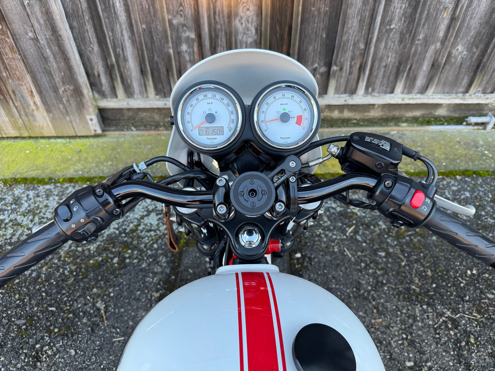 TRIUMPH Thruxton 900 i SE-image-6
