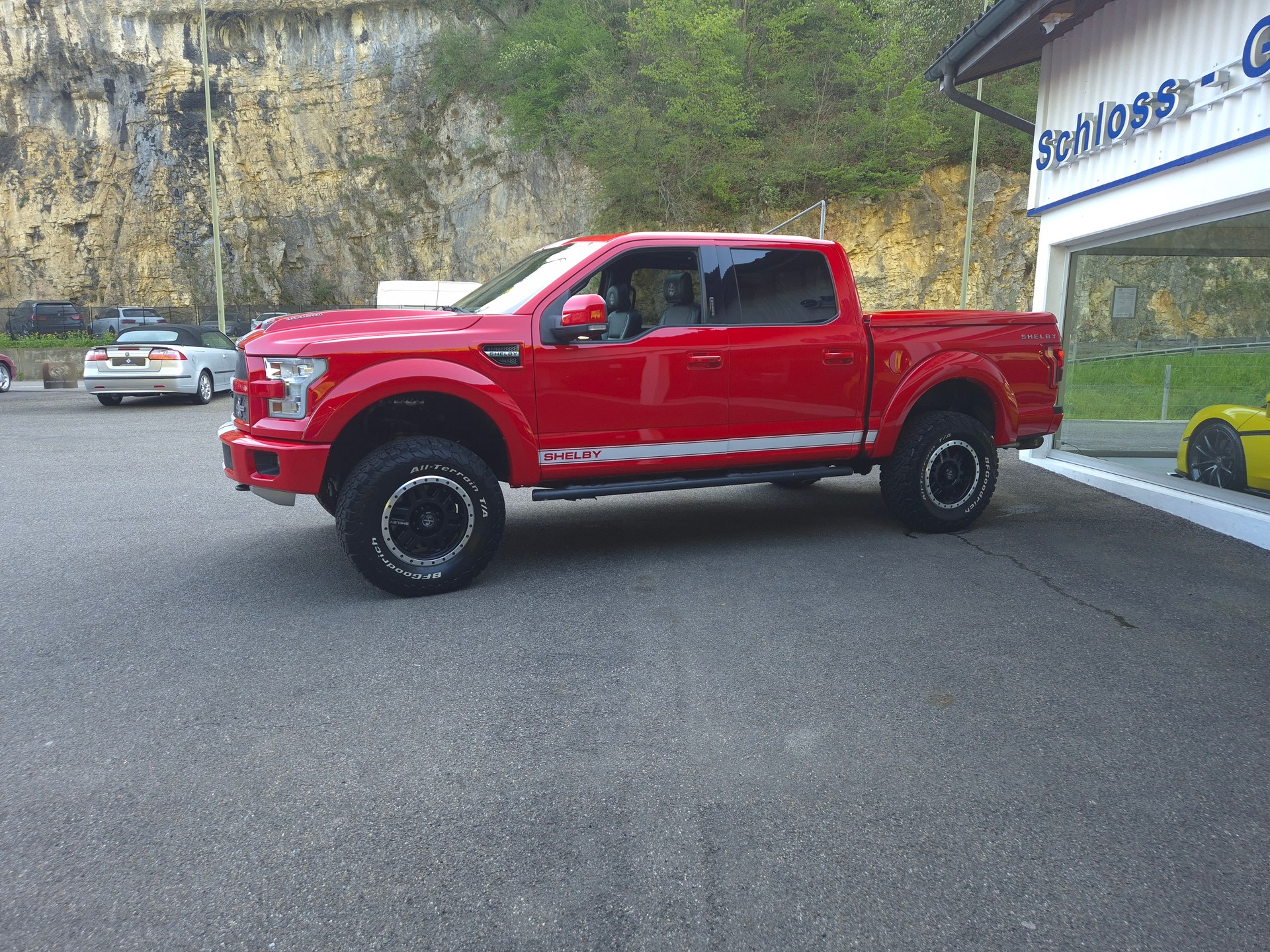 FORD F-150 SHELBY-image-7
