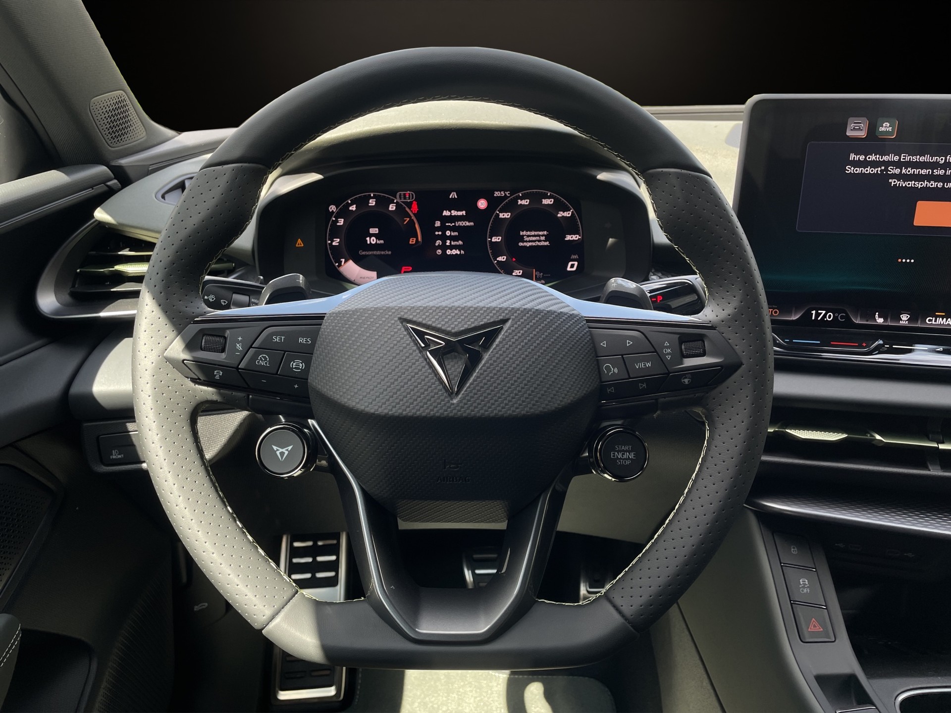 CUPRA Terramar 2.0 TSI DSG Prime Edition VZ 4Drive-image-9
