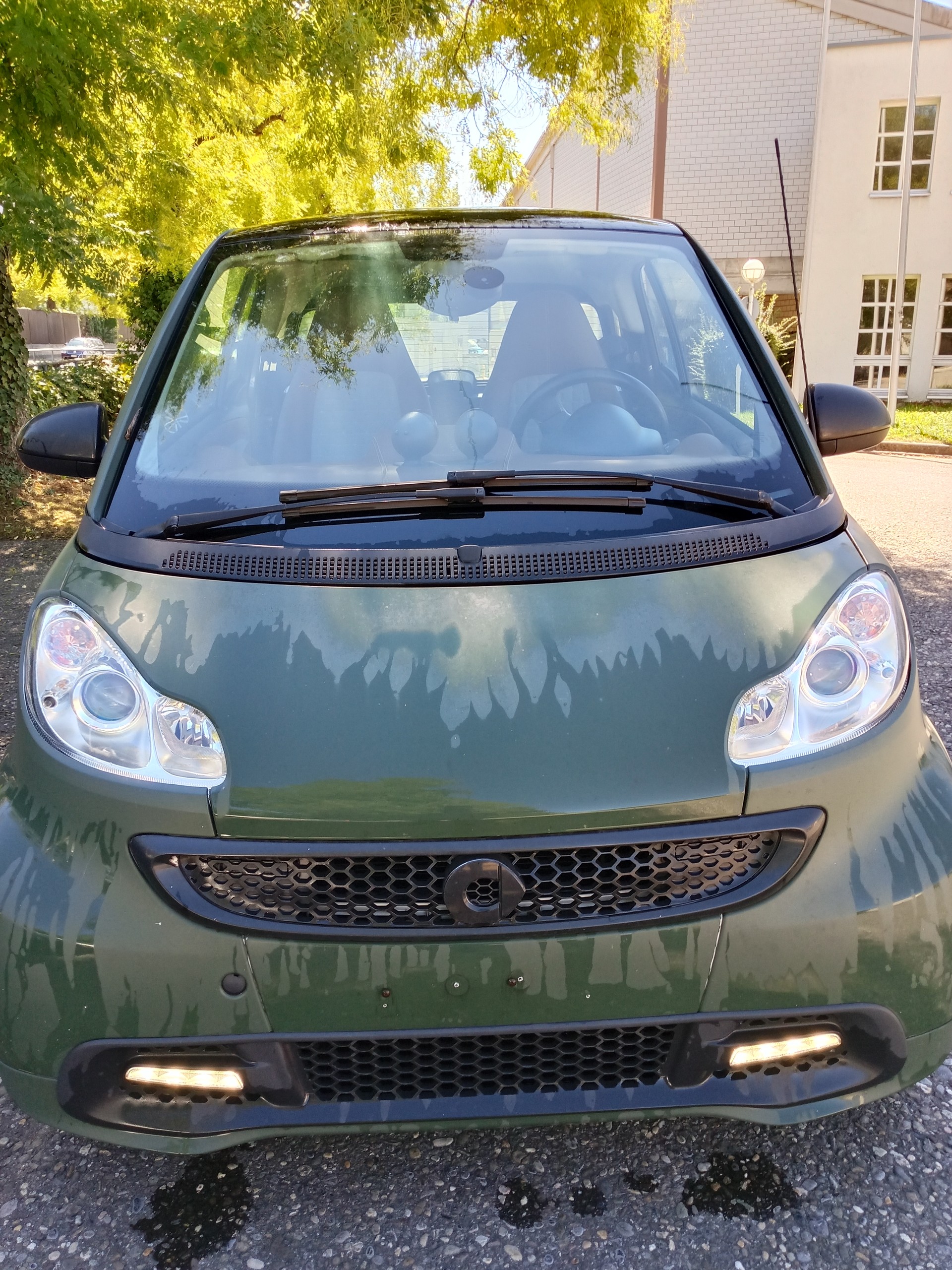 SMART fortwo pure mhd softouch