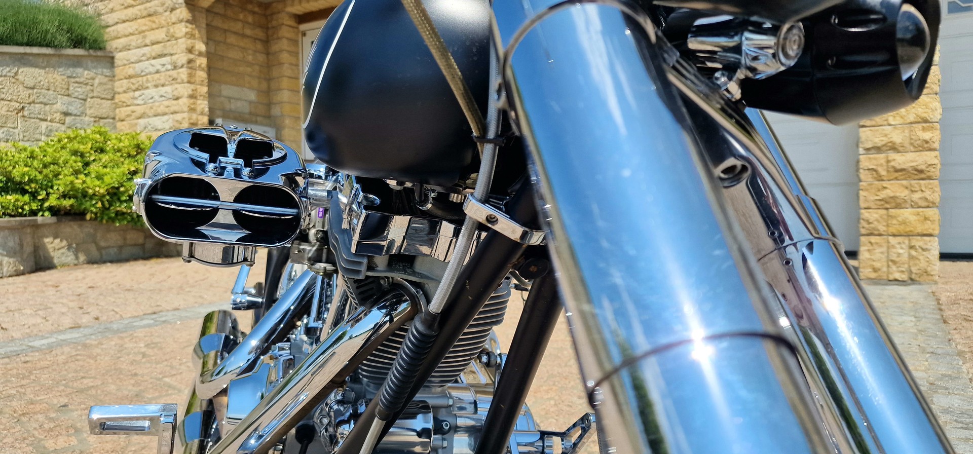 HARLEY-DAVIDSON Swissperformance Burnout-image-9