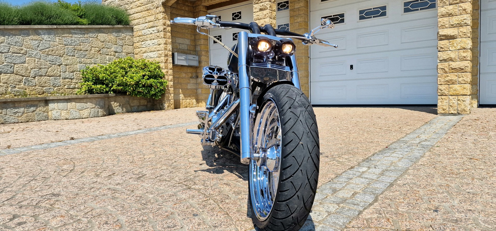 HARLEY-DAVIDSON Swissperformance Burnout-image-7