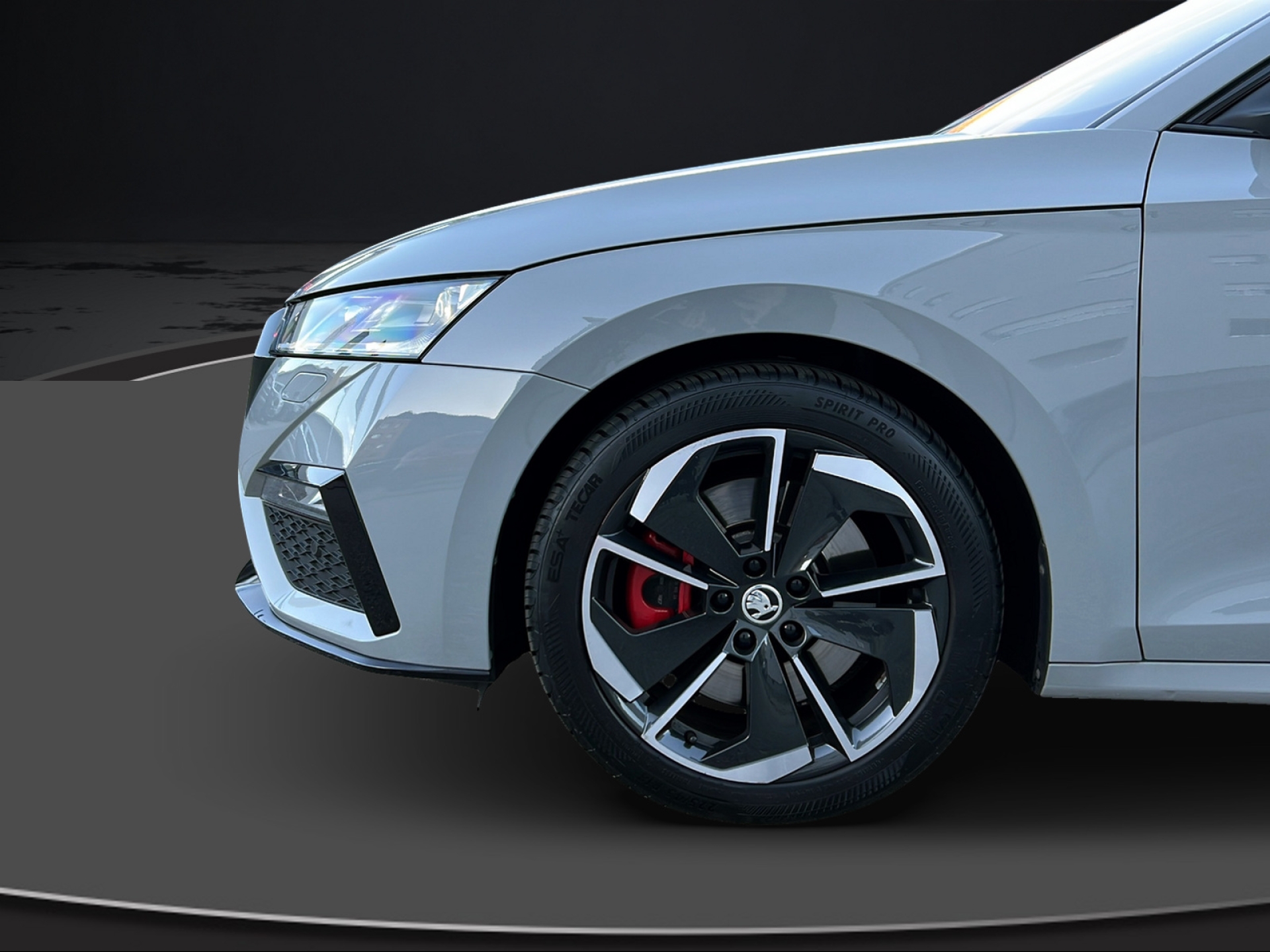 SKODA Octavia Combi 2.0 TSI RS DSG-image-12