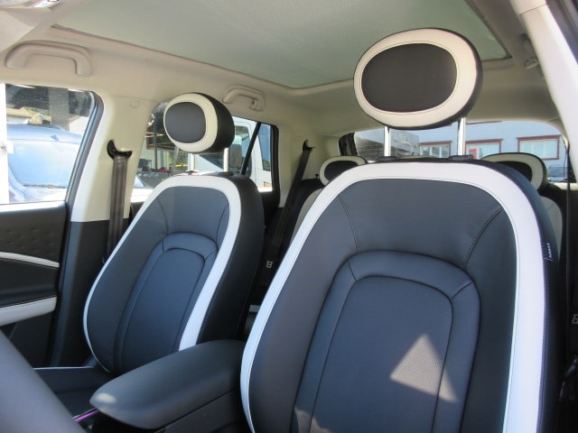 JAC E30X Electric-image-7