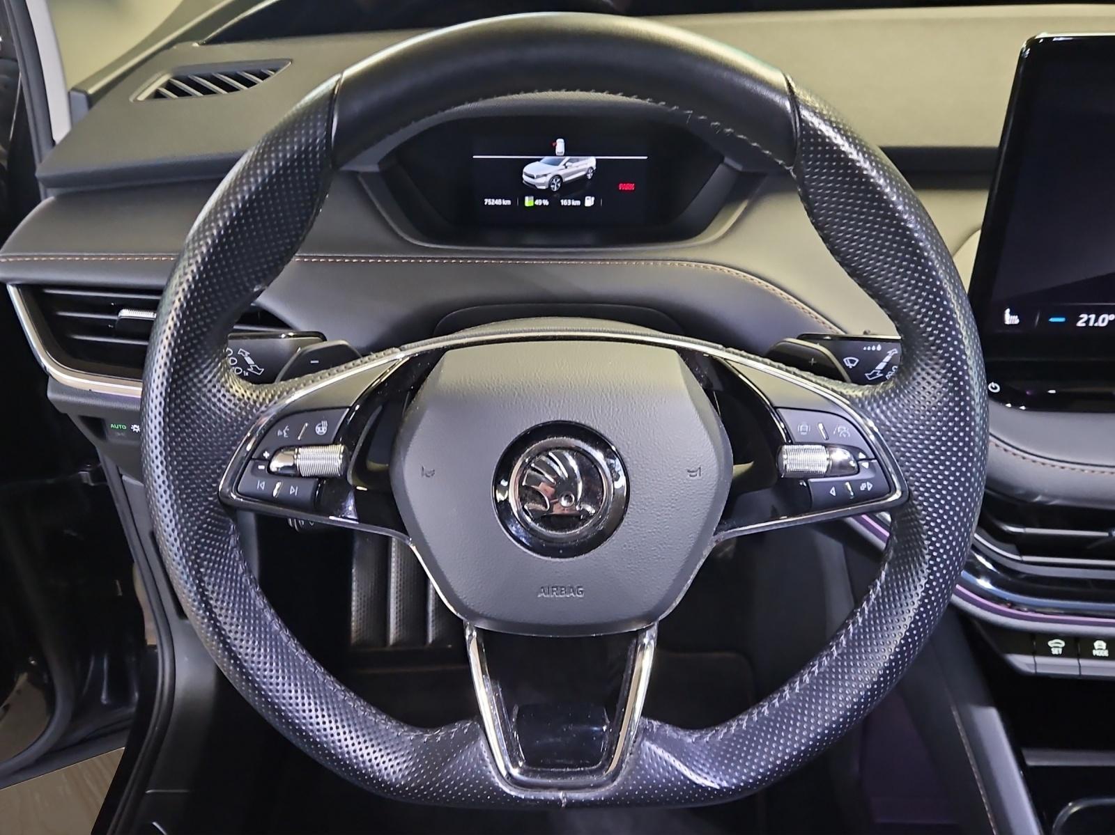 SKODA Enyaq iV 80x-image-10