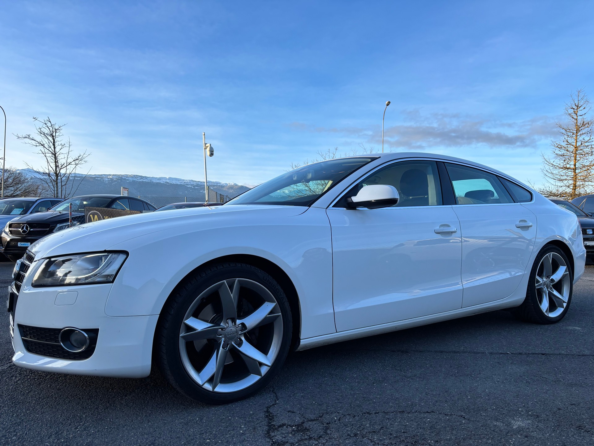 AUDI A5 Sportback 3.0 TDI quattro S-tronic-showroom-element-1