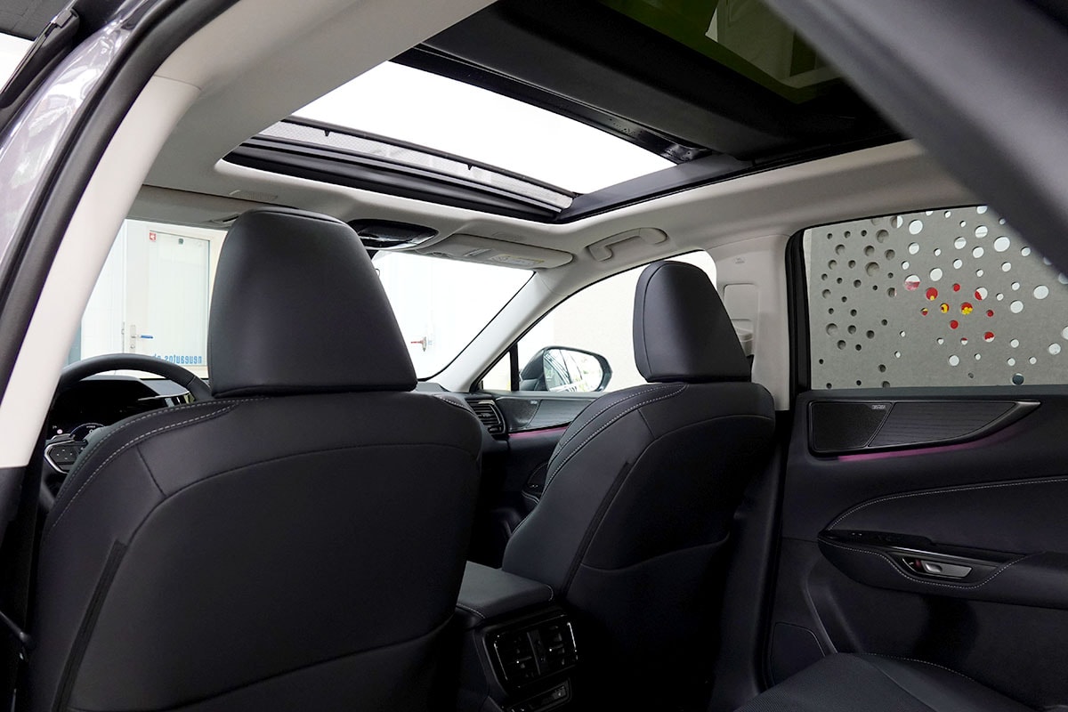 LEXUS NX 450h+ E-FOUR Excellence Panoramaglasdach-image-13