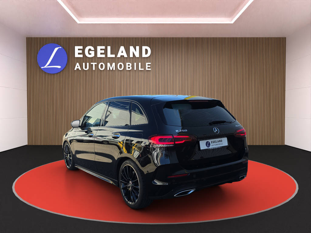 MERCEDES-BENZ B 250 AMG Line 4matic-showroom-element-3